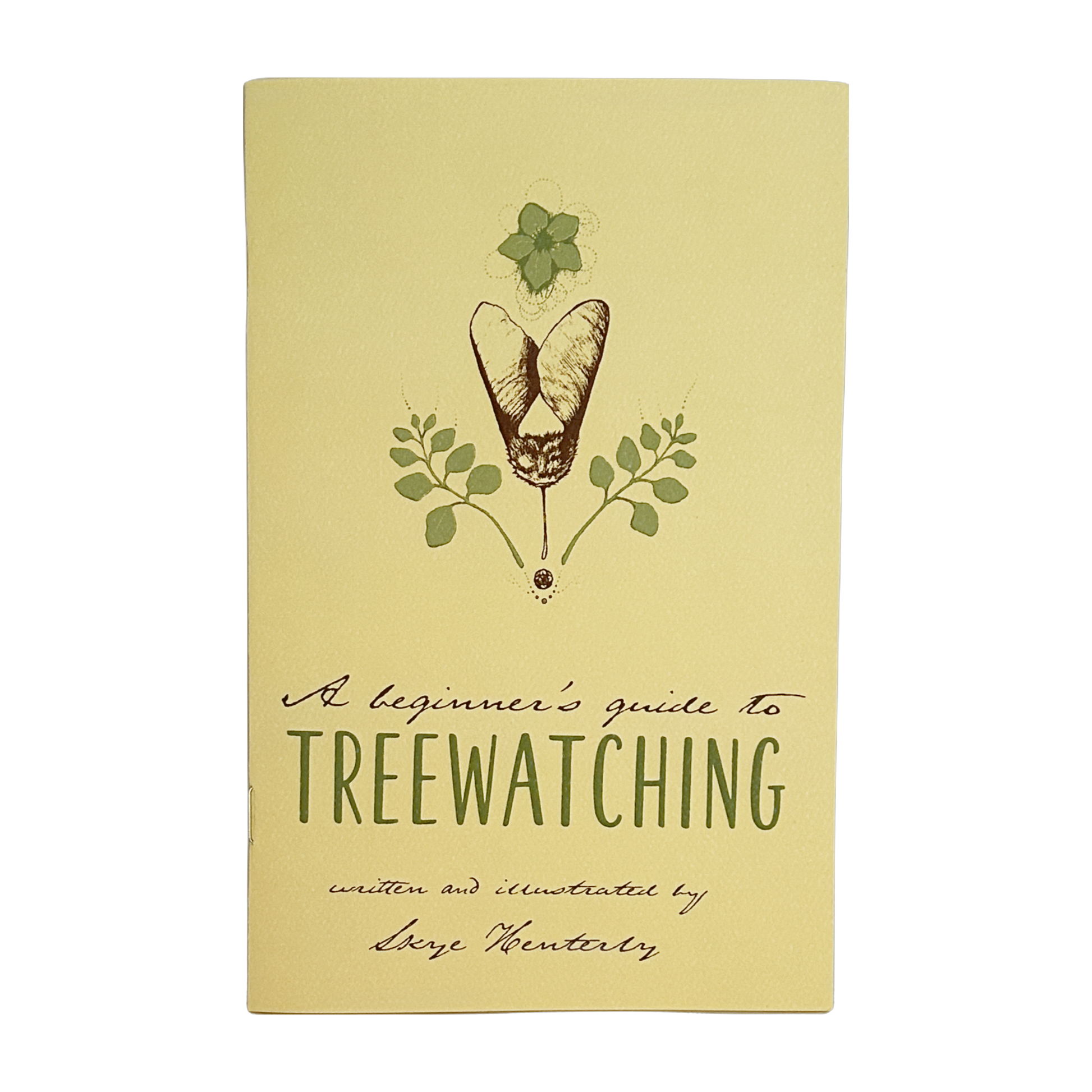 A Beginner's Guide to Treewatching