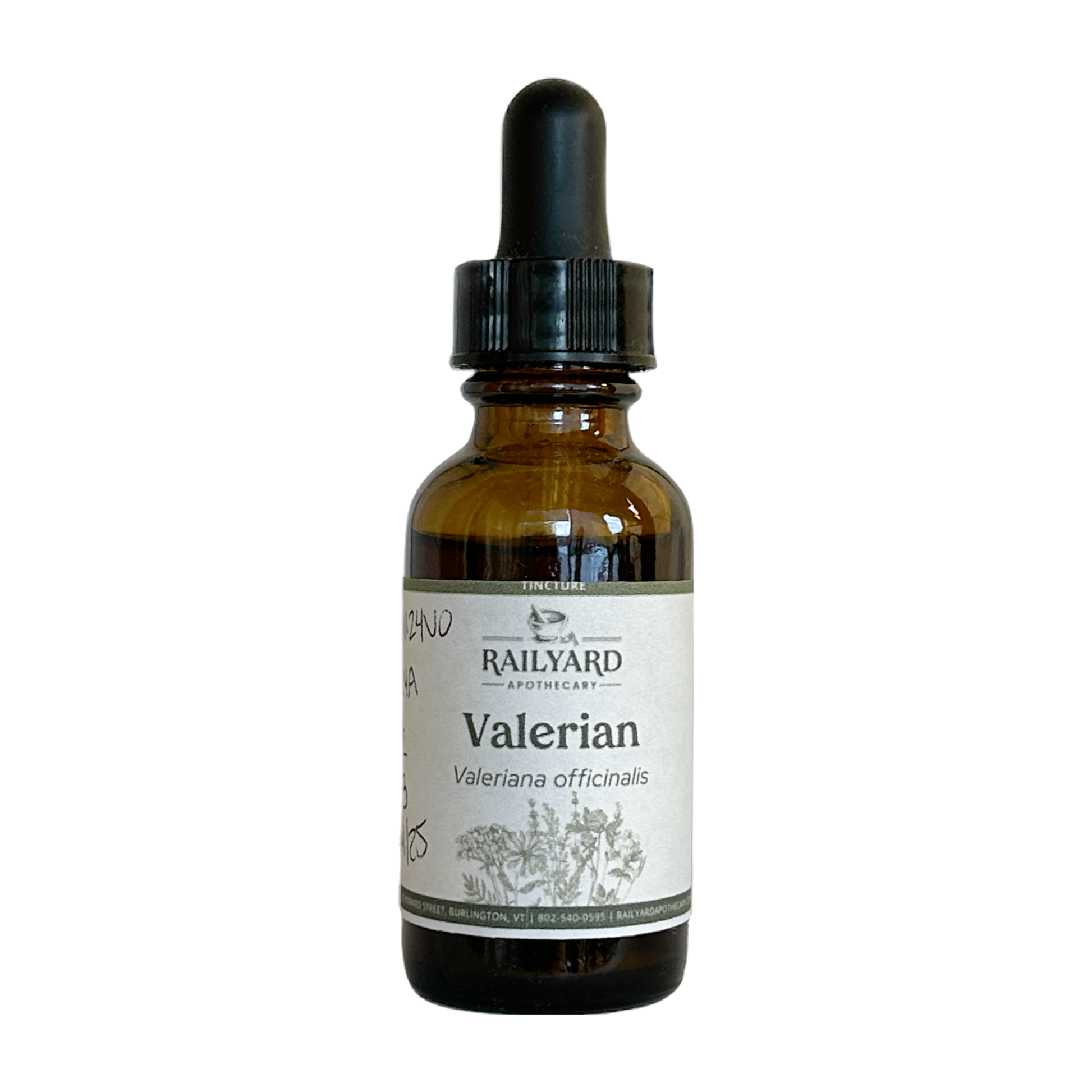 Valerian - Single 1oz Tincture