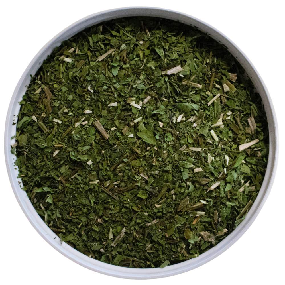 Blue Vervain