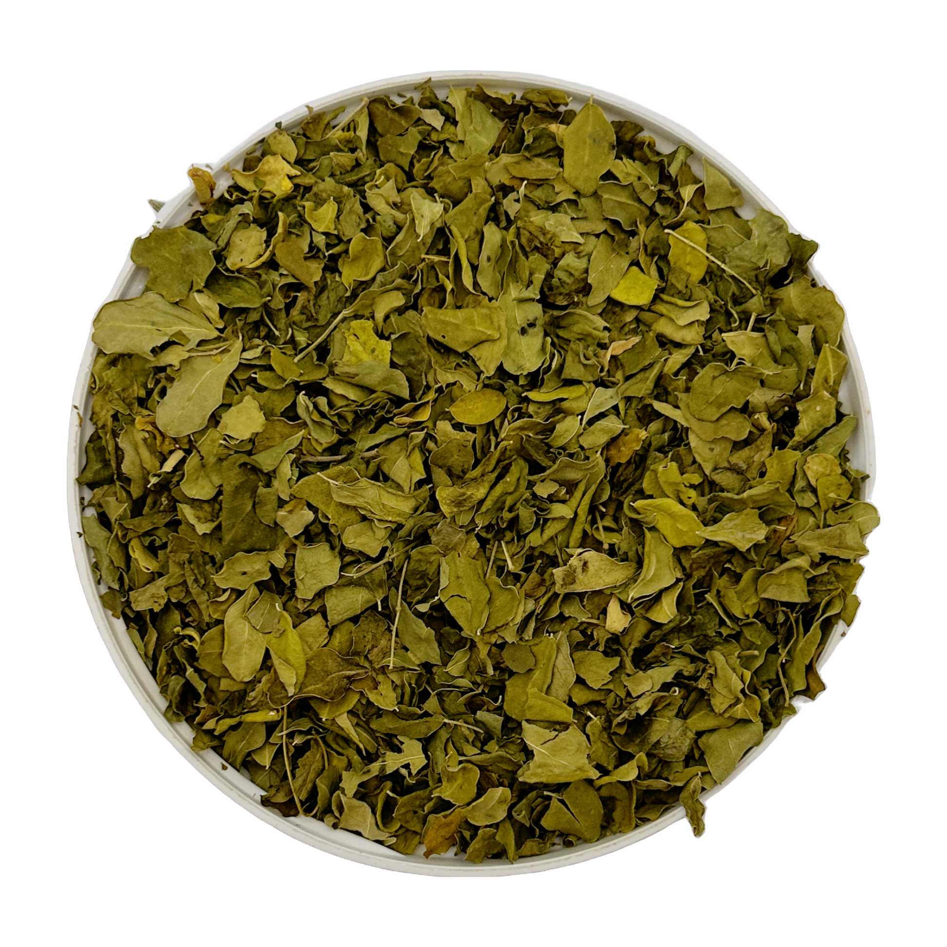 Moringa
