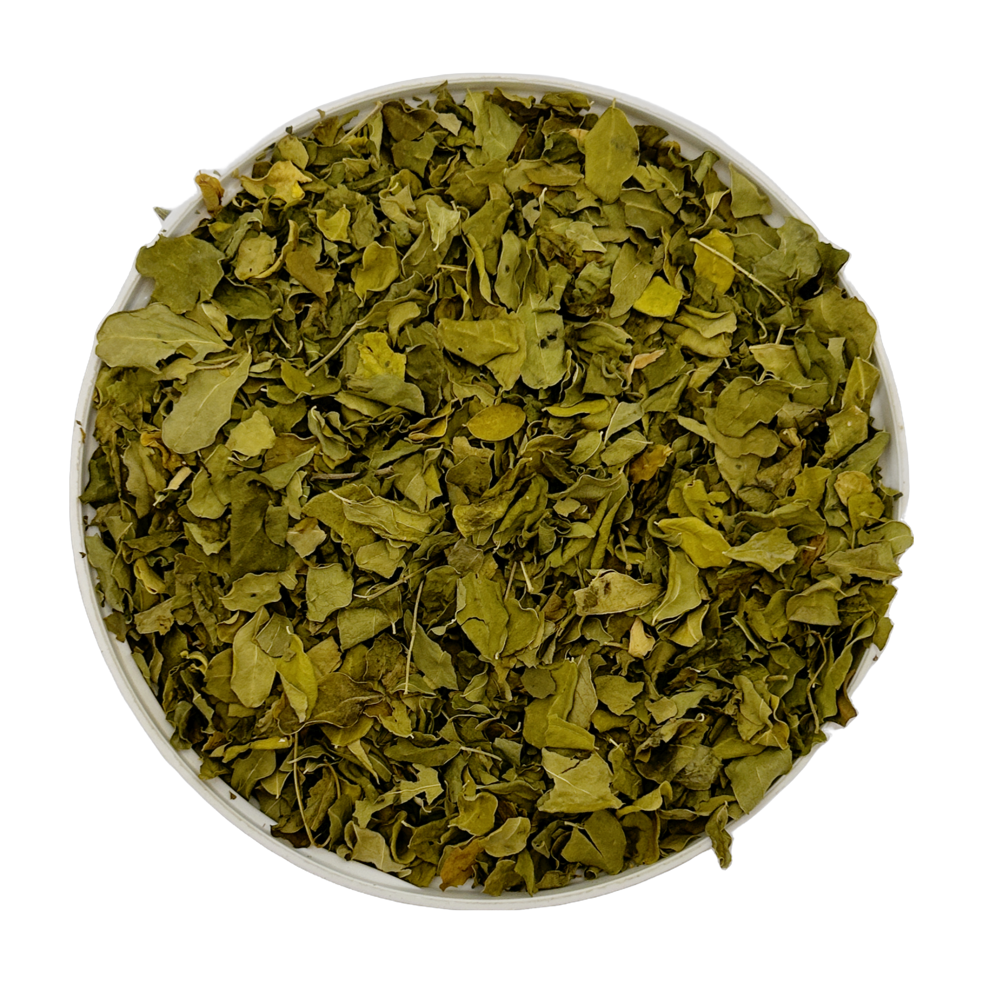 Moringa