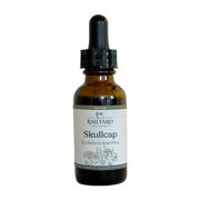 Skullcap - Single 1oz Tincture