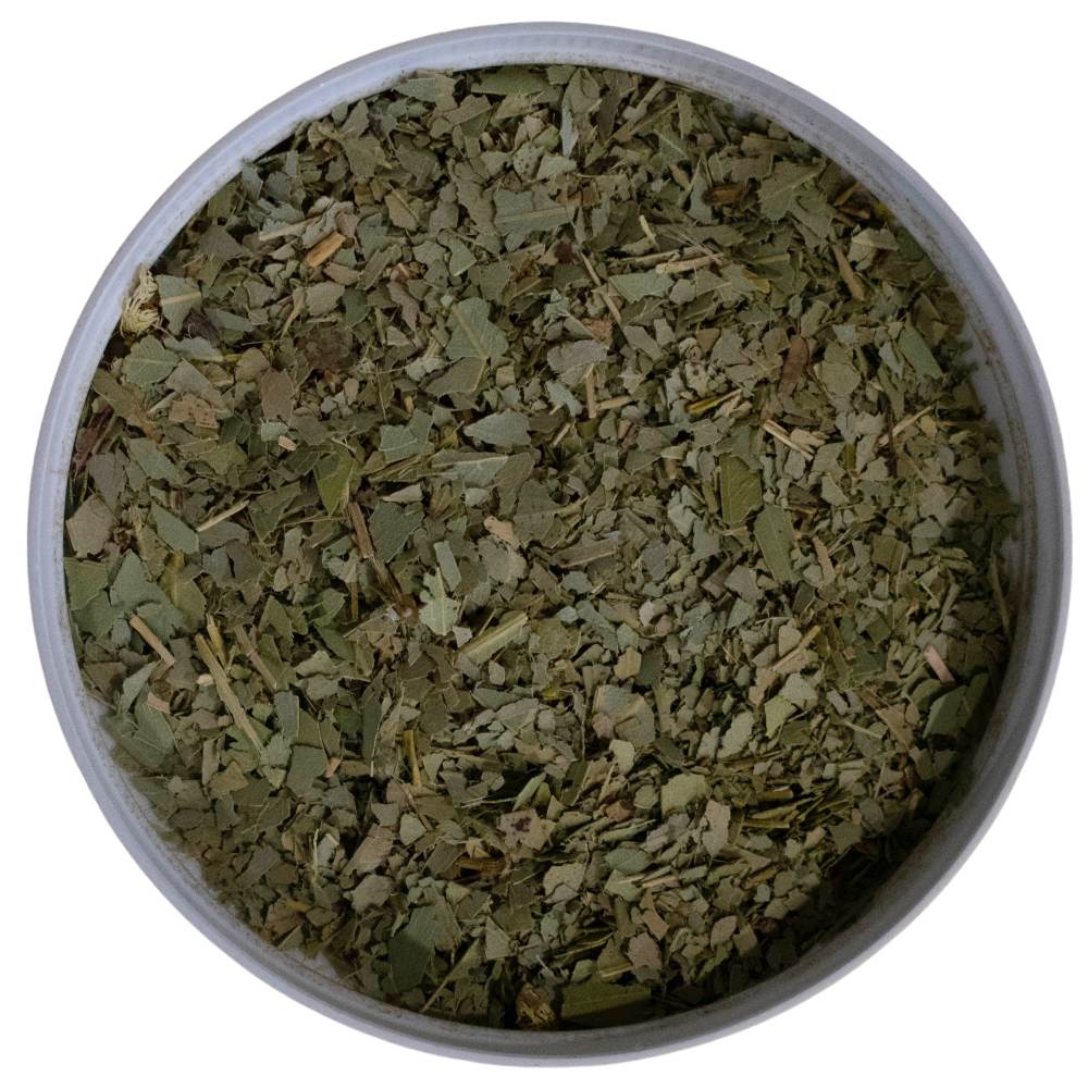 Eucalyptus