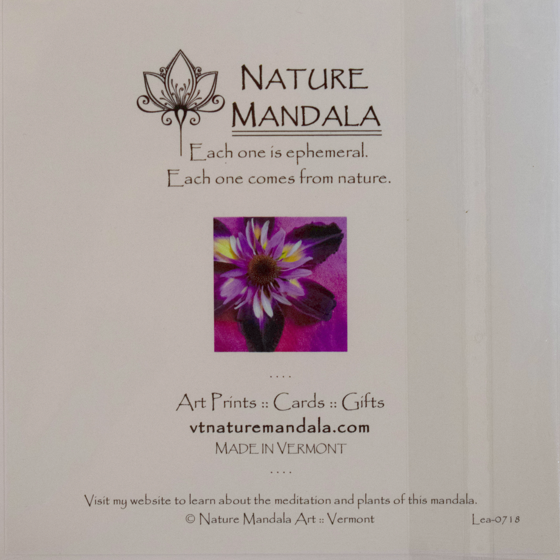 Nature Mandala Greeting Card