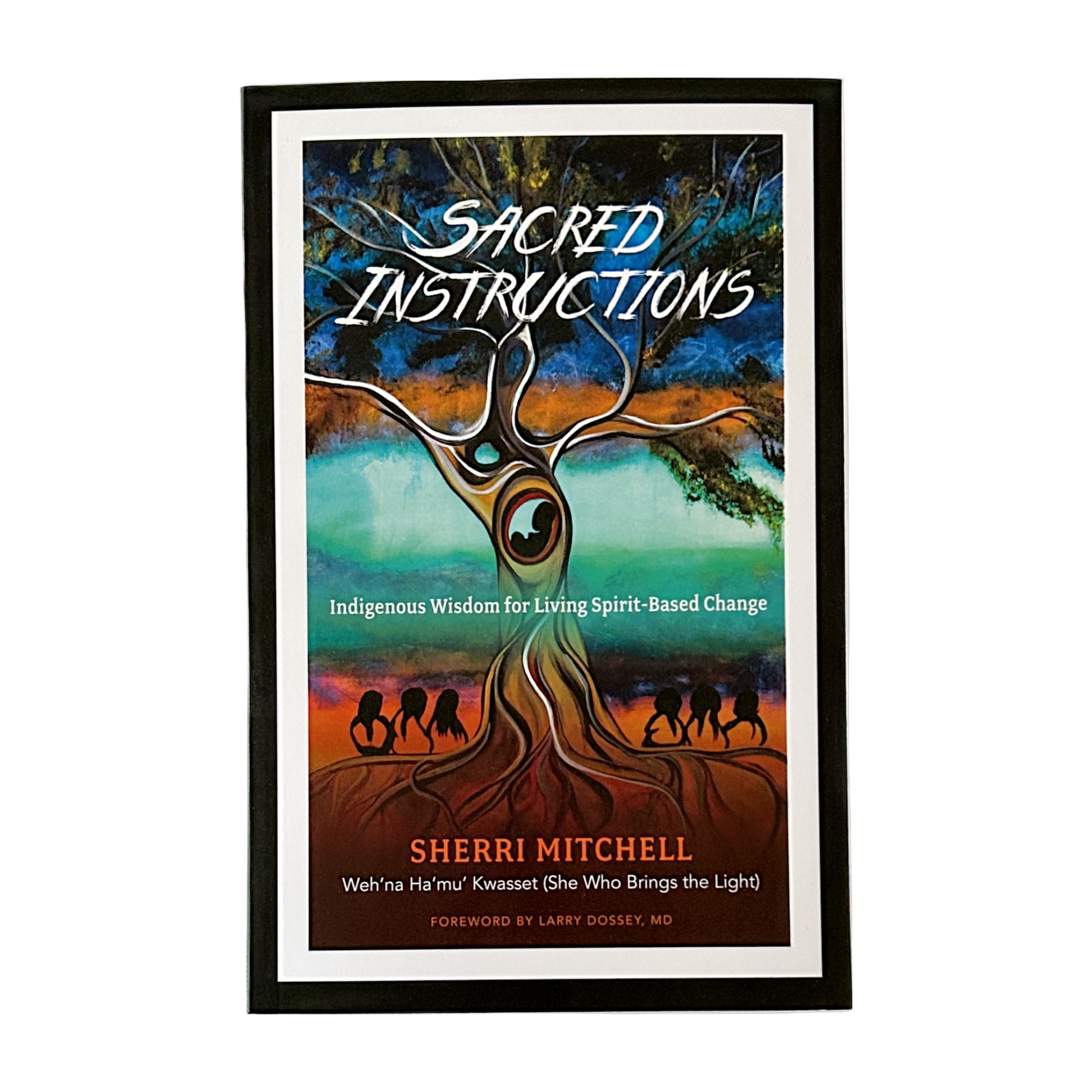 Sacred Instructions by Sherri Mitchell