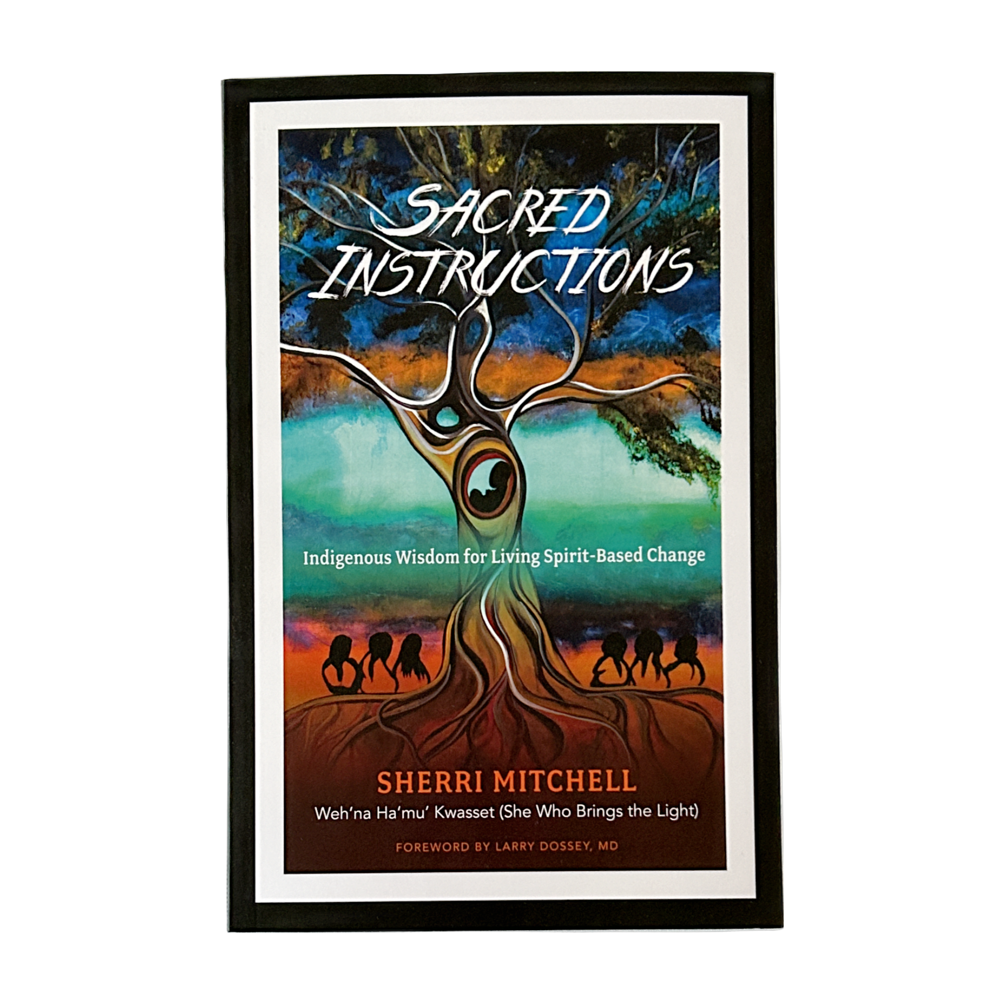Sacred Instructions by Sherri Mitchell