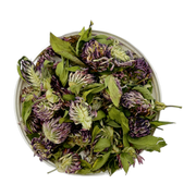 Red Clover