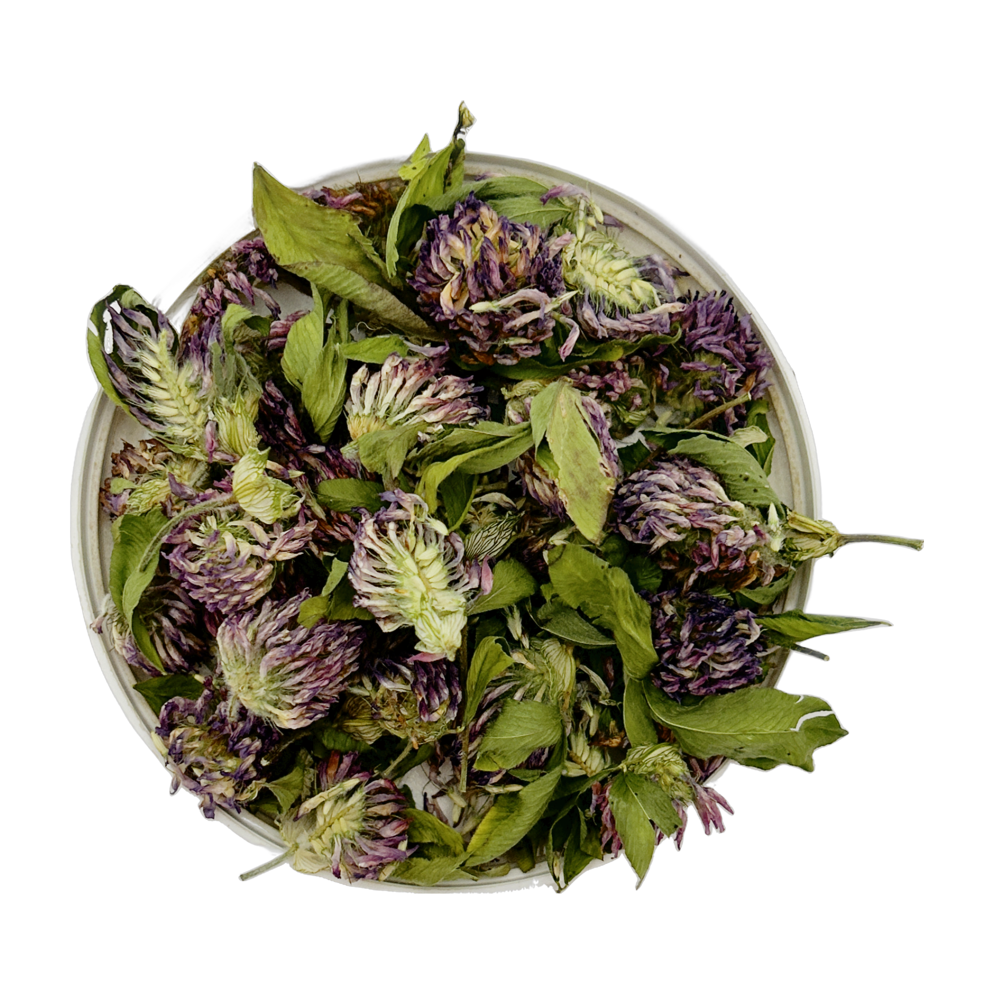 Red Clover