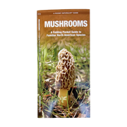 Mushrooms: A Folding Pocket Guide to Familiar N American Species