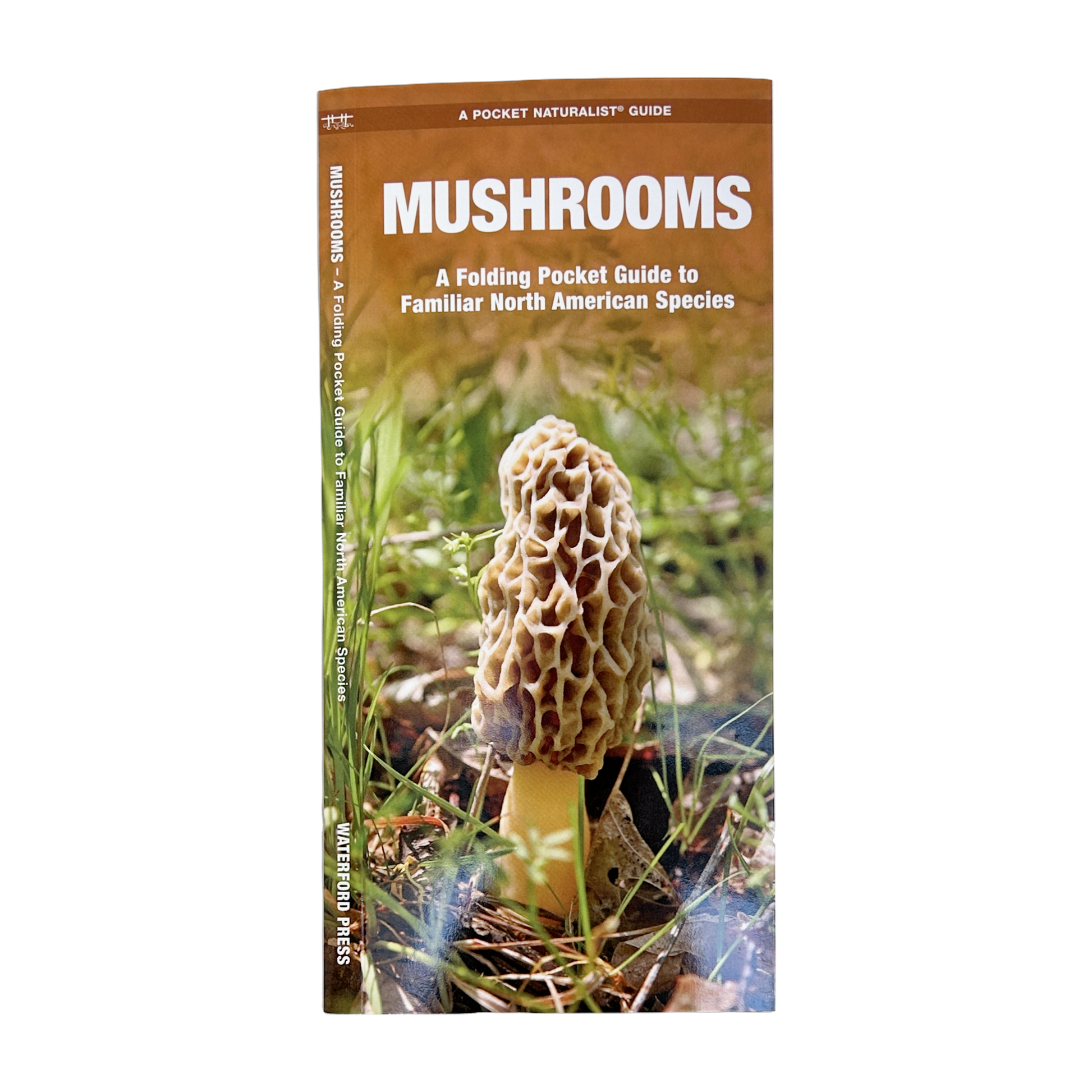 Mushrooms: A Folding Pocket Guide to Familiar N American Species