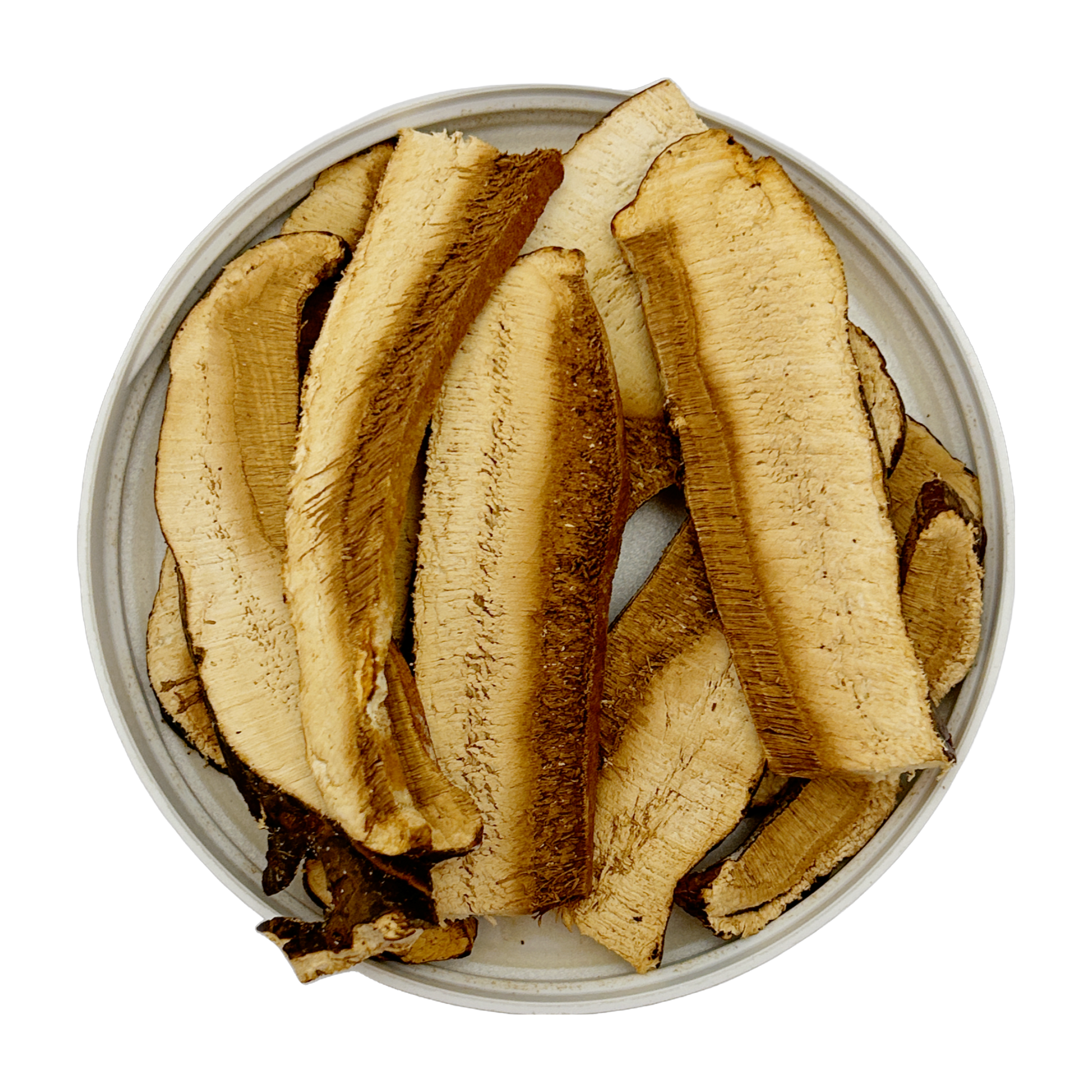 Reishi