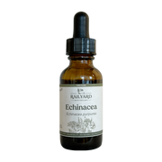 Echinacea - Single 1oz Tincture