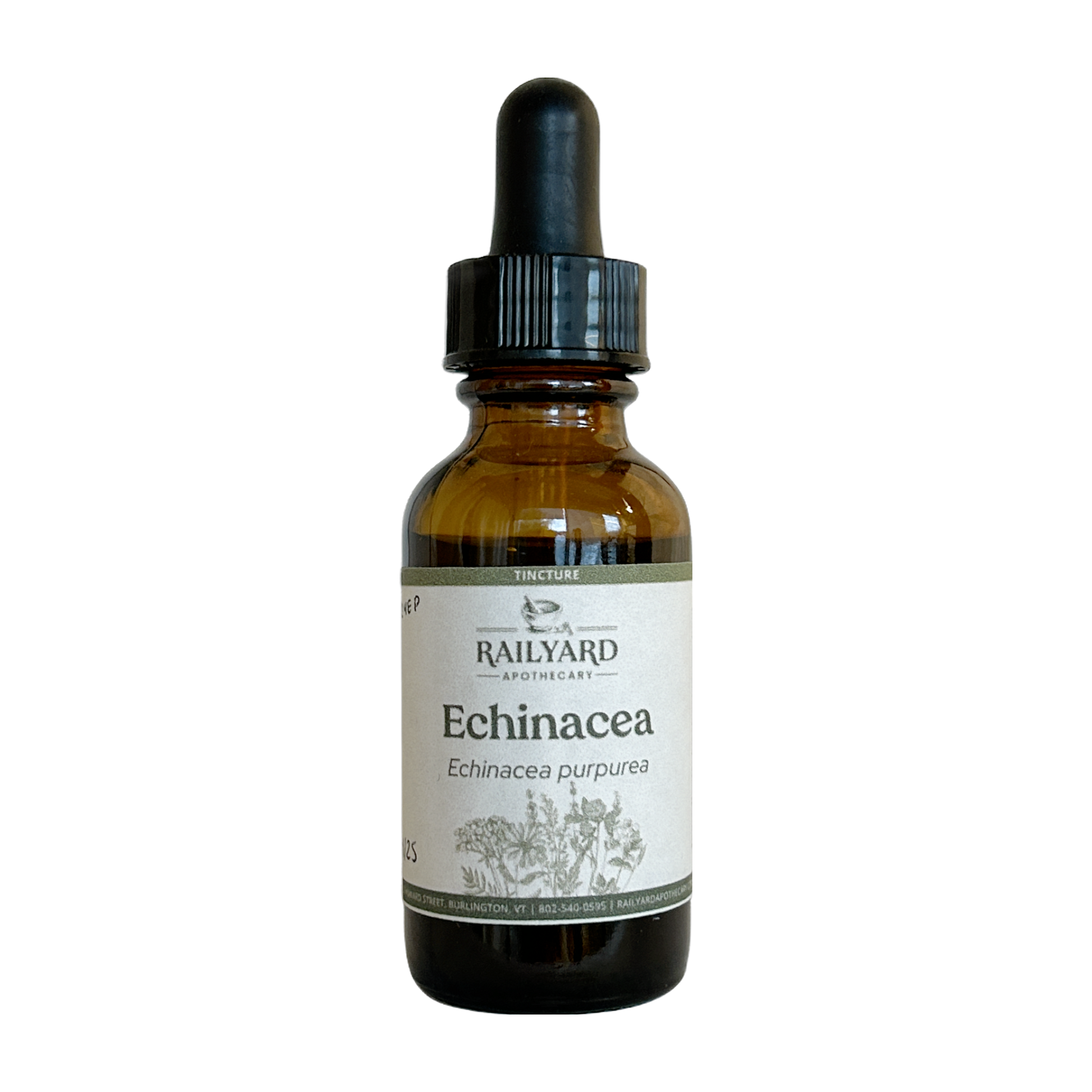 Echinacea - Single 1oz Tincture