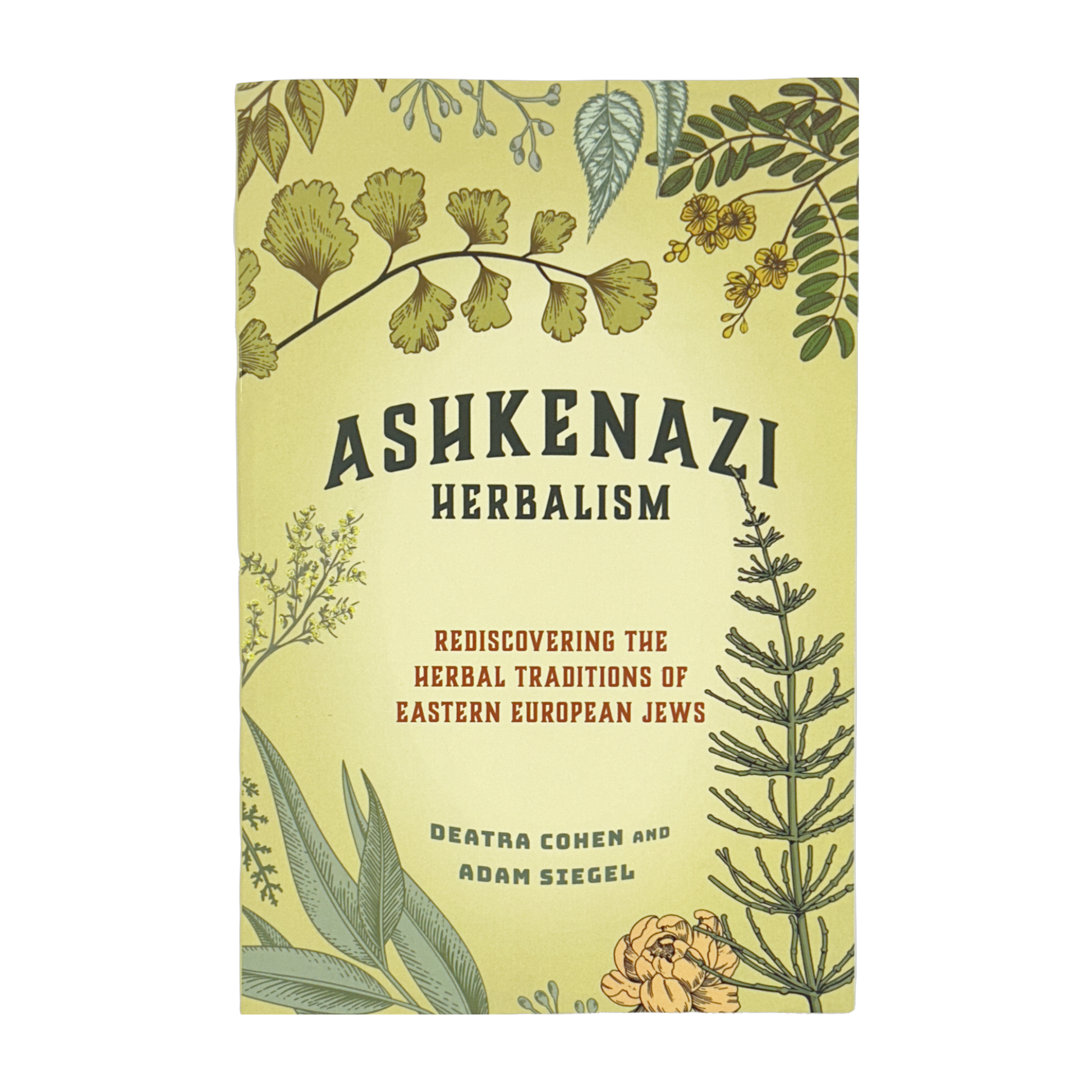 Ashkenazi Herbalism: Rediscovering the Herbal Traditions of Eastern European Jews (Paperback)