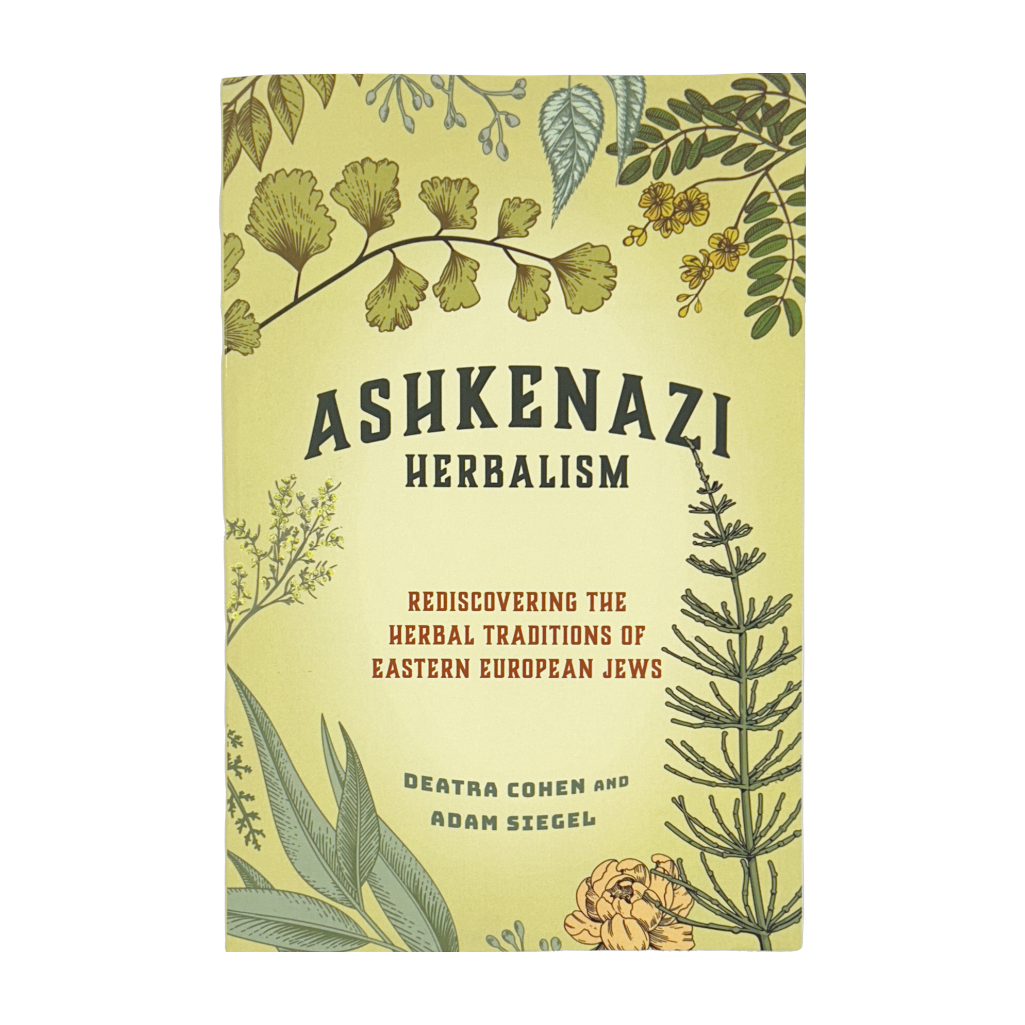 Ashkenazi Herbalism: Rediscovering the Herbal Traditions of Eastern European Jews (Paperback)