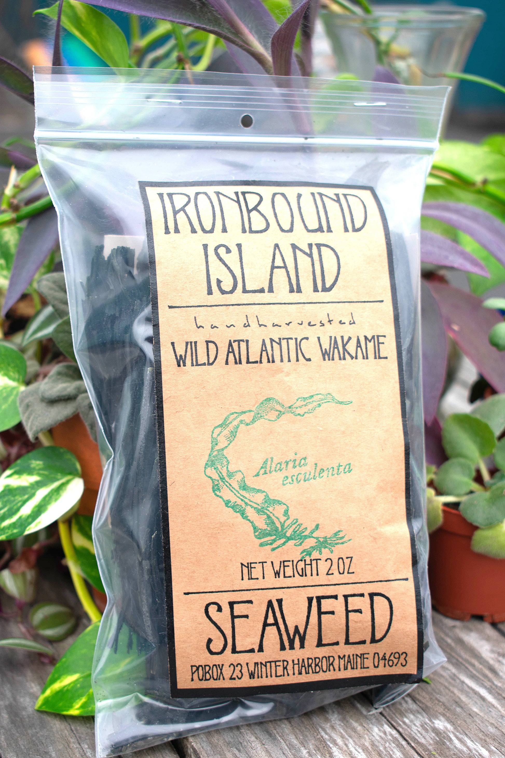 Ironbound Island Wakame