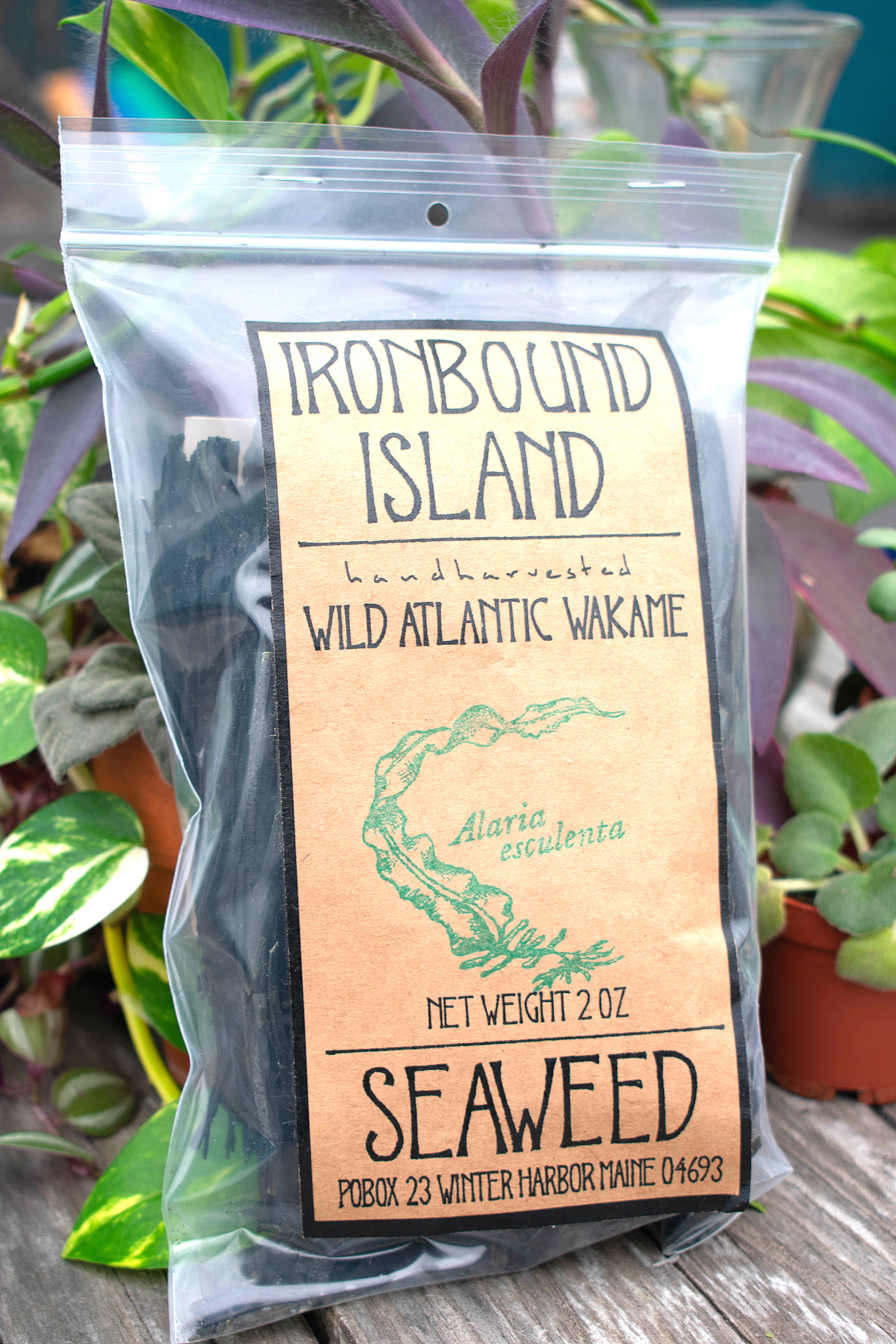 Ironbound Island Wakame