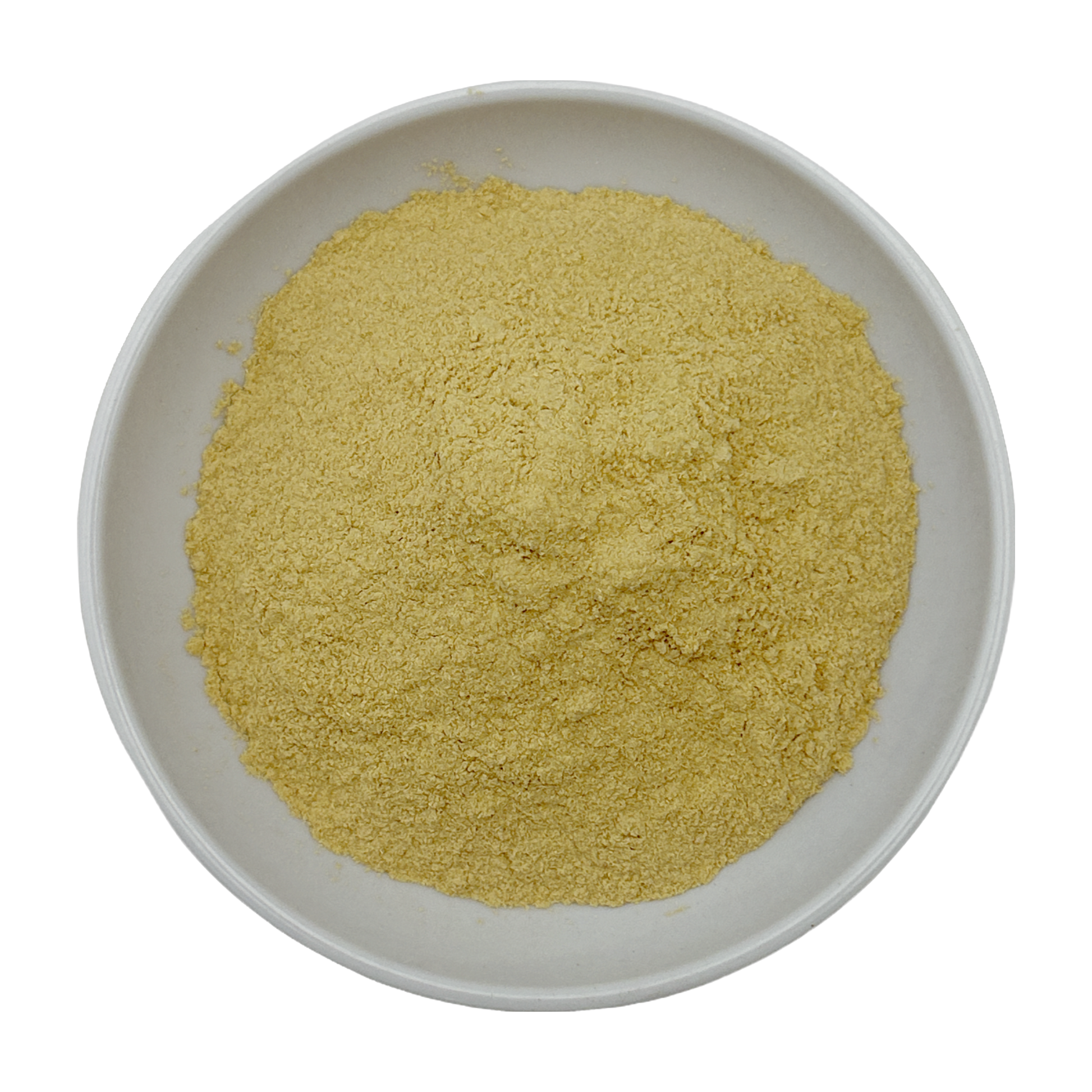 Astragalus Powder