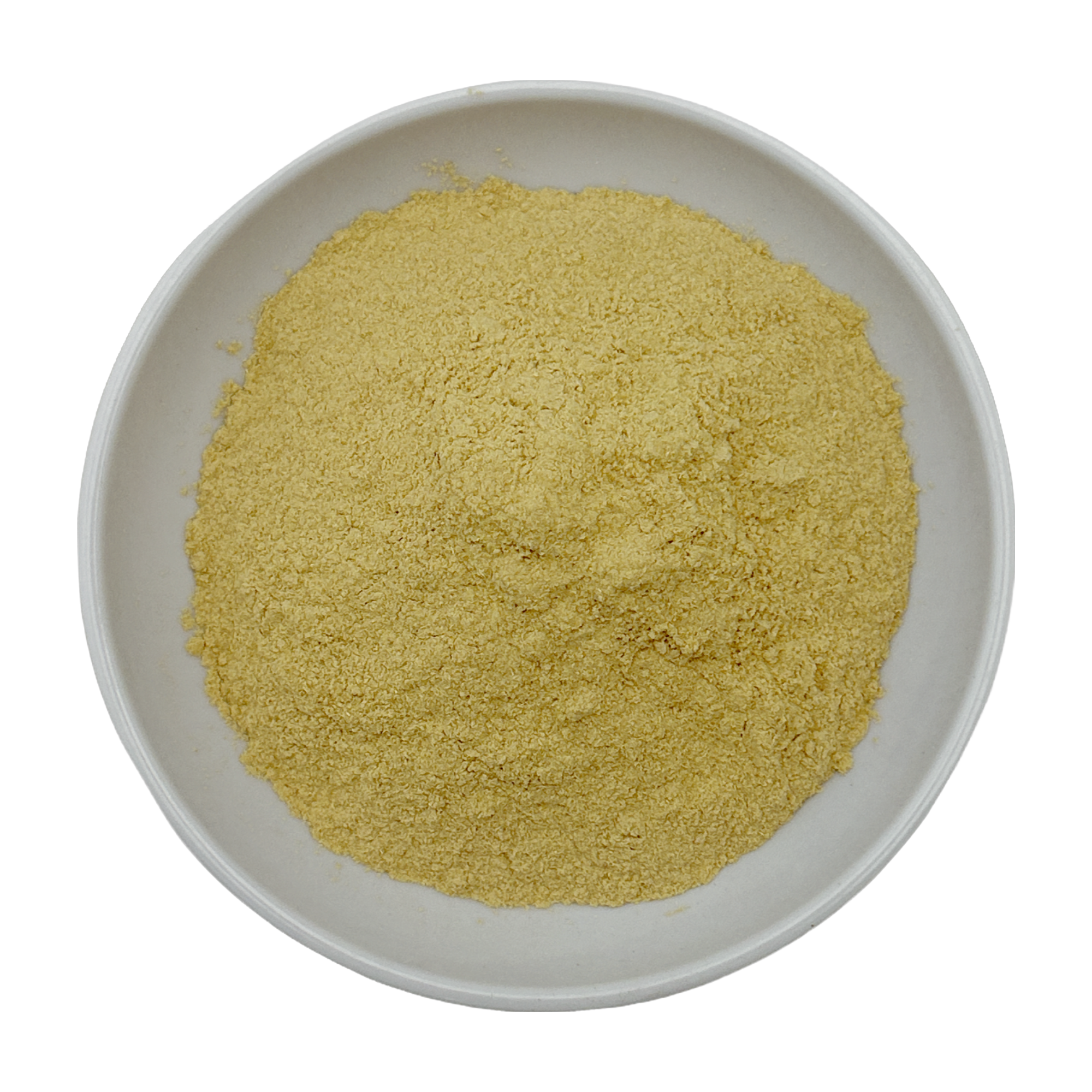 Astragalus Powder