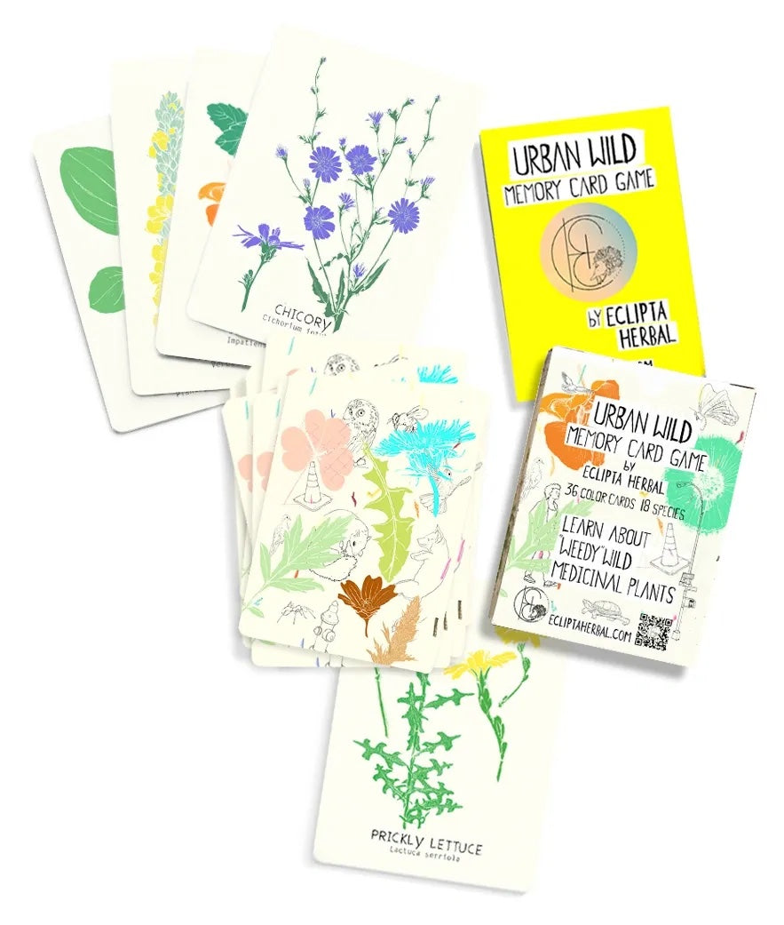 Eclipta Herbal Urban Wild Herbal Memory Card Game