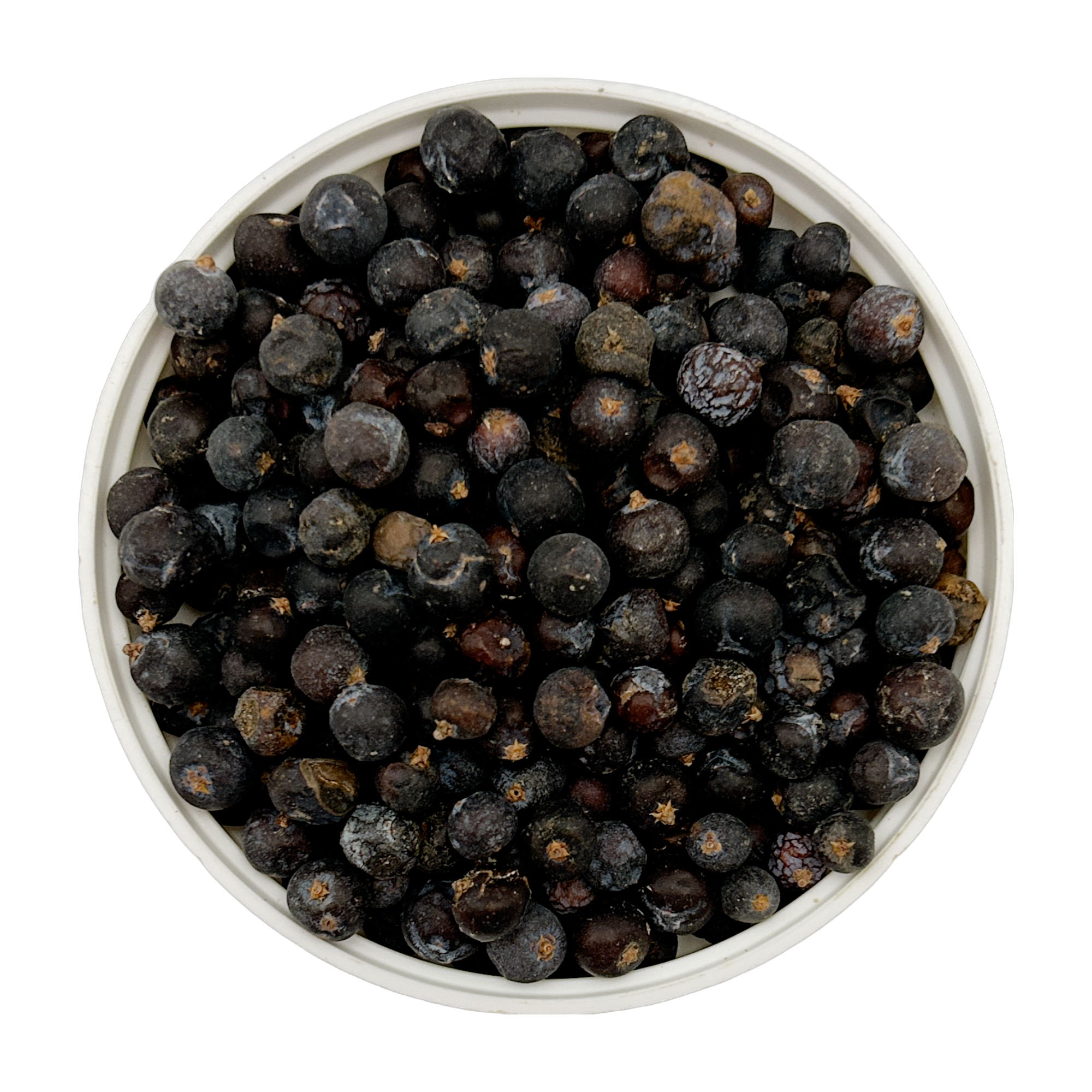 Juniper