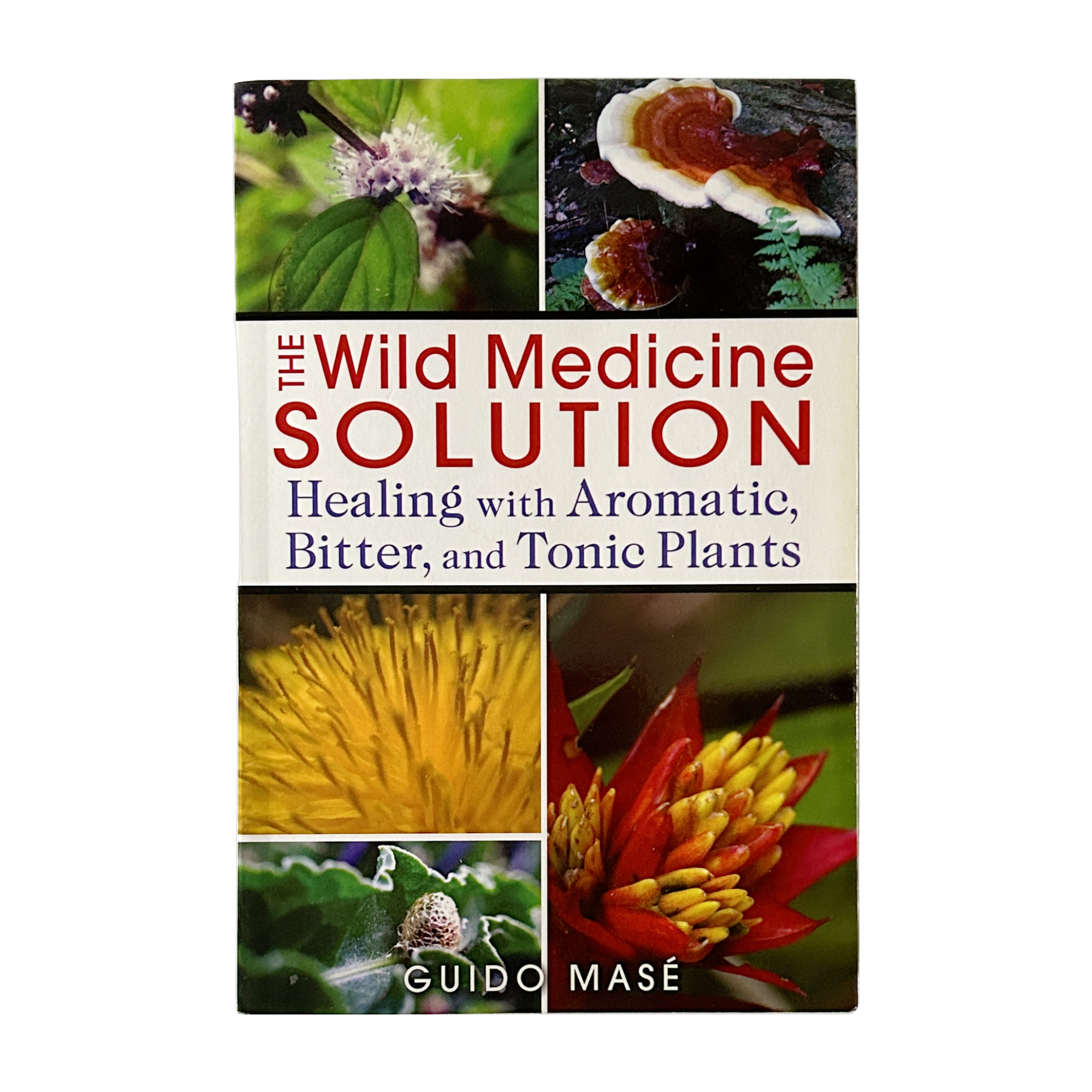 Wild Medicine Solution by Guido Masé