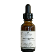 Astragalus - Single 1oz Tincture