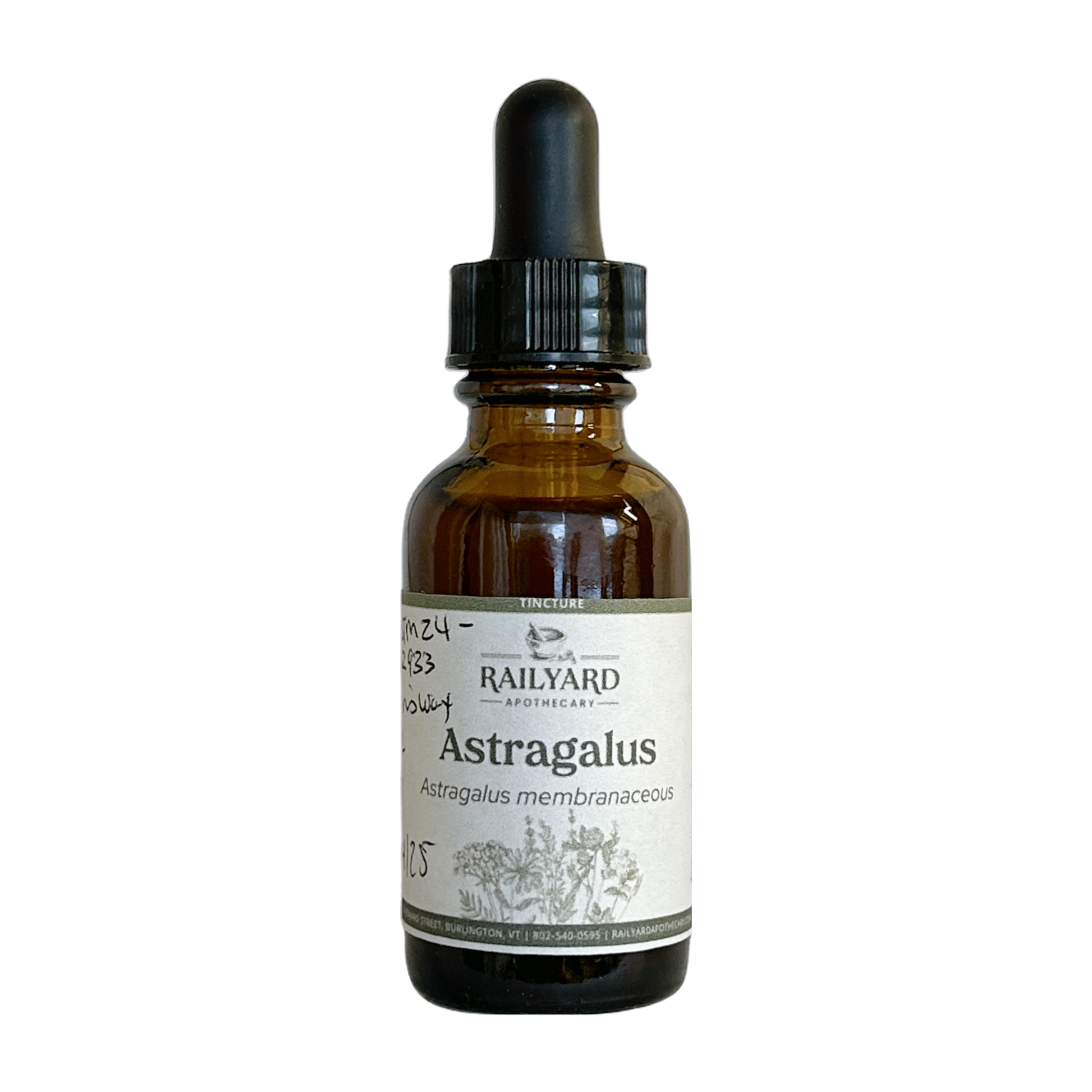 Astragalus - Single 1oz Tincture