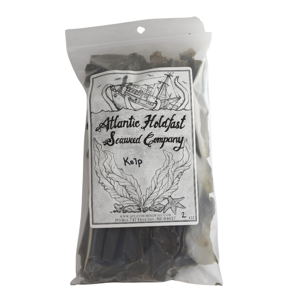 Atlantic Holdfast Sugar Kelp 2 oz bag