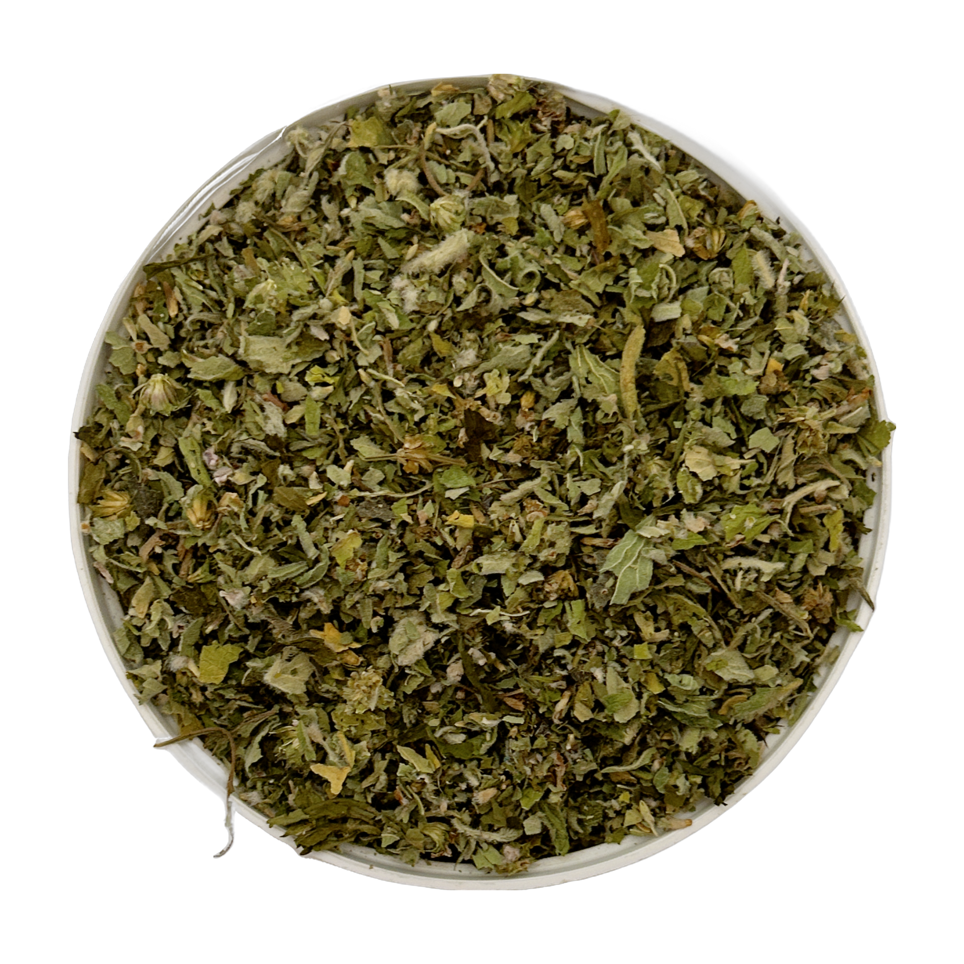 Motherwort