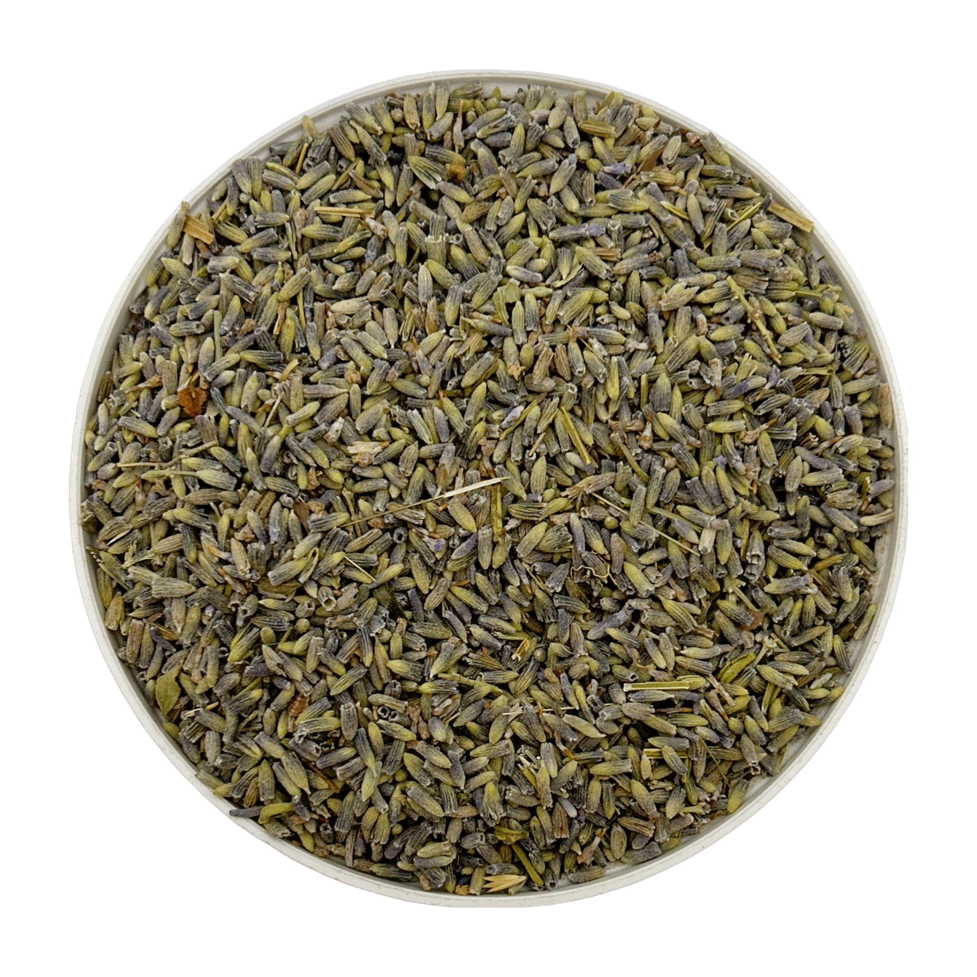 Lavender 1 oz Single