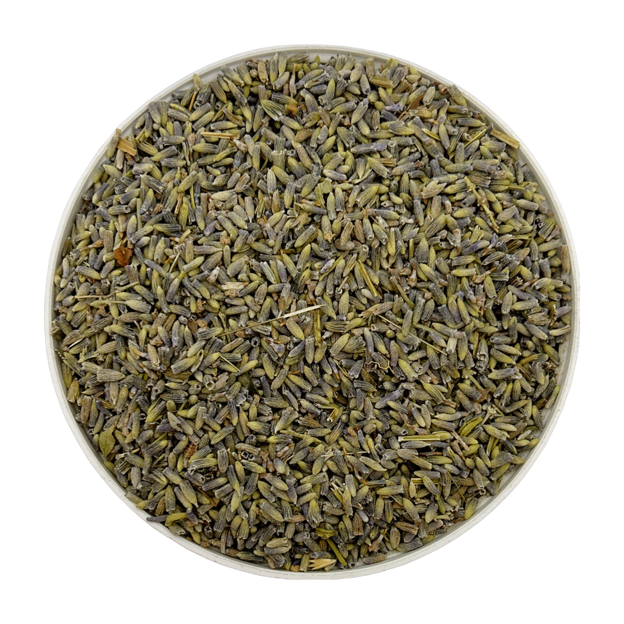 Lavender 1 oz Single