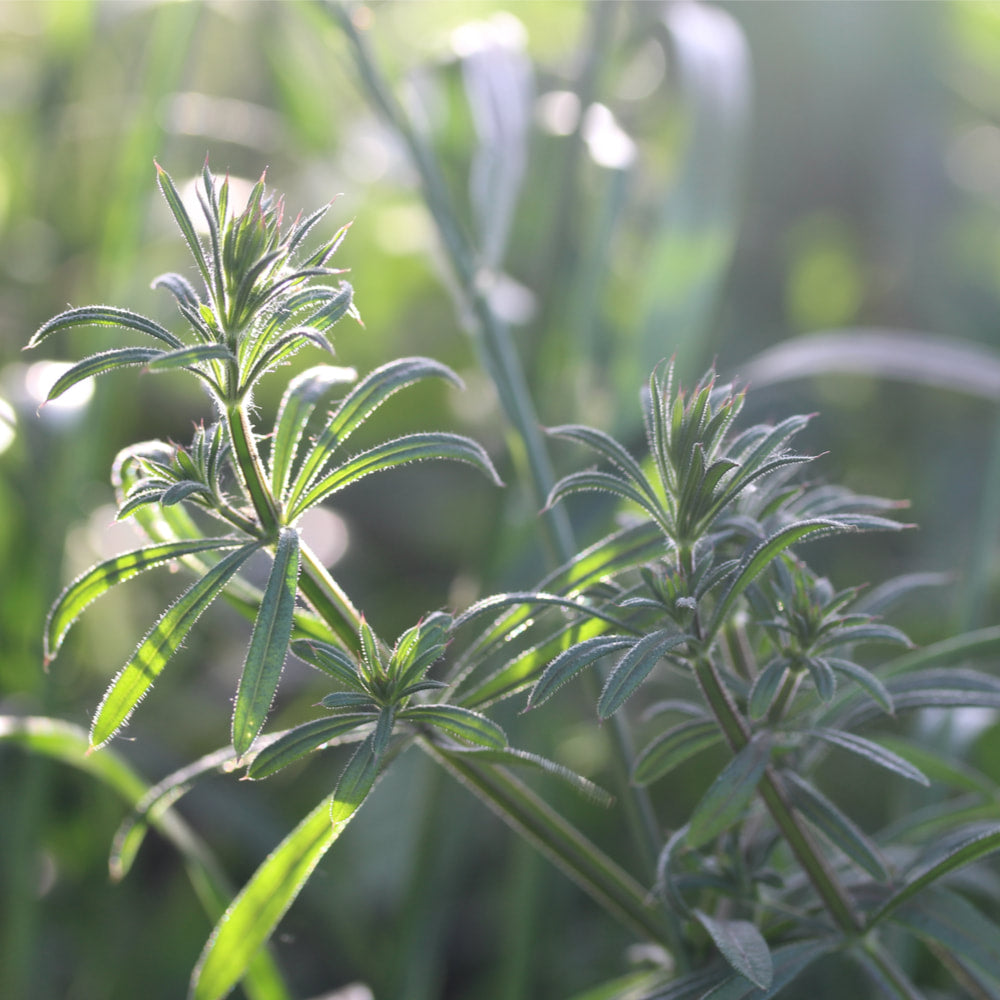 Cleavers