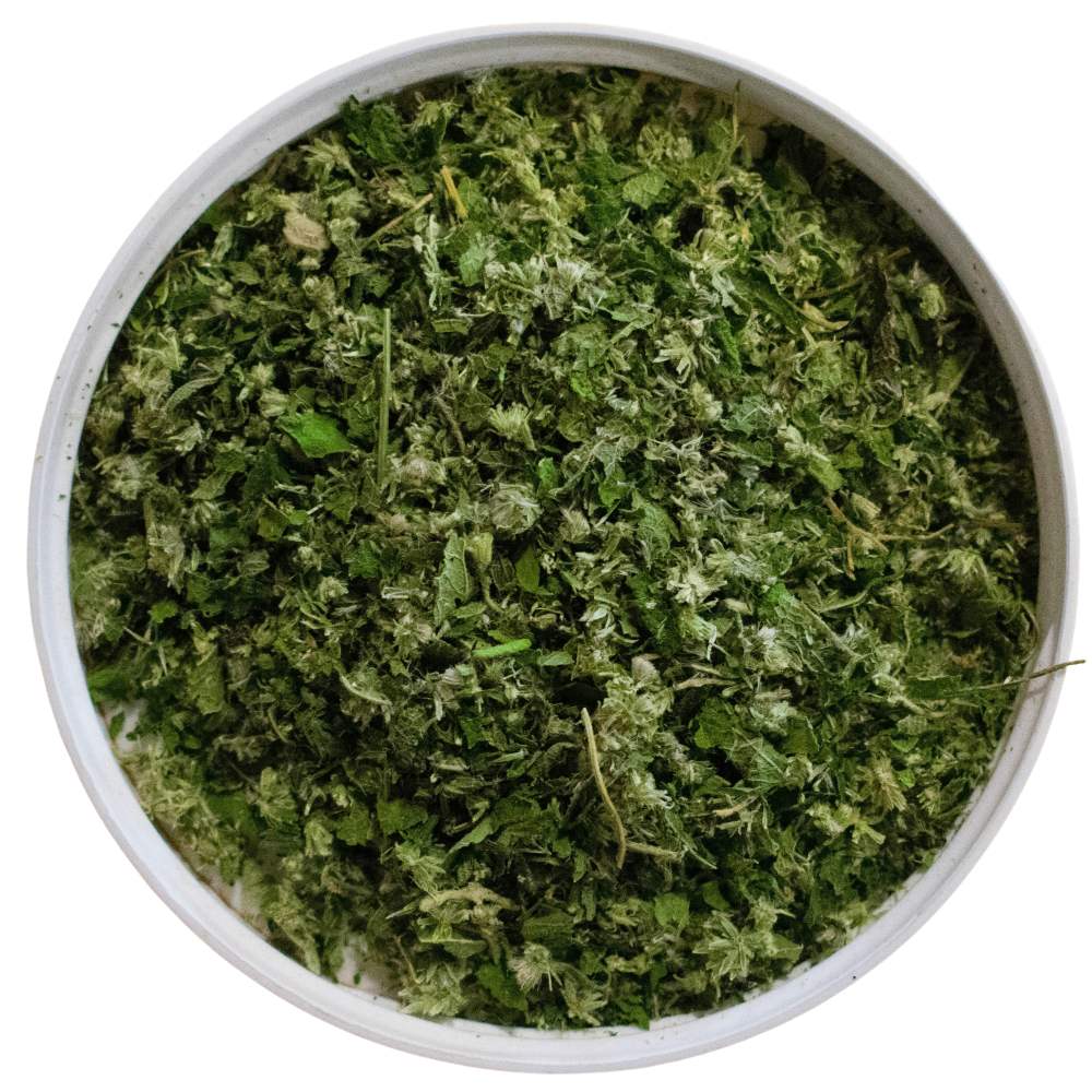 Boneset