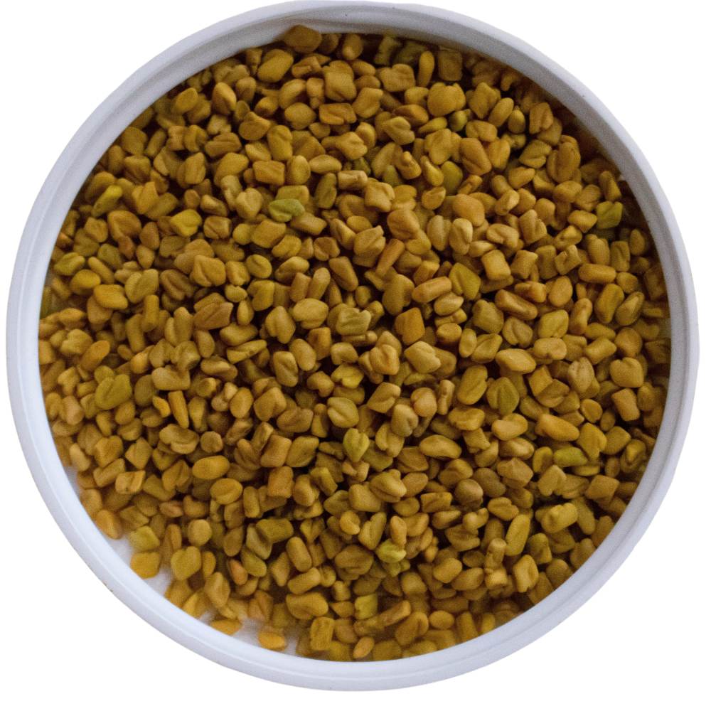 Fenugreek
