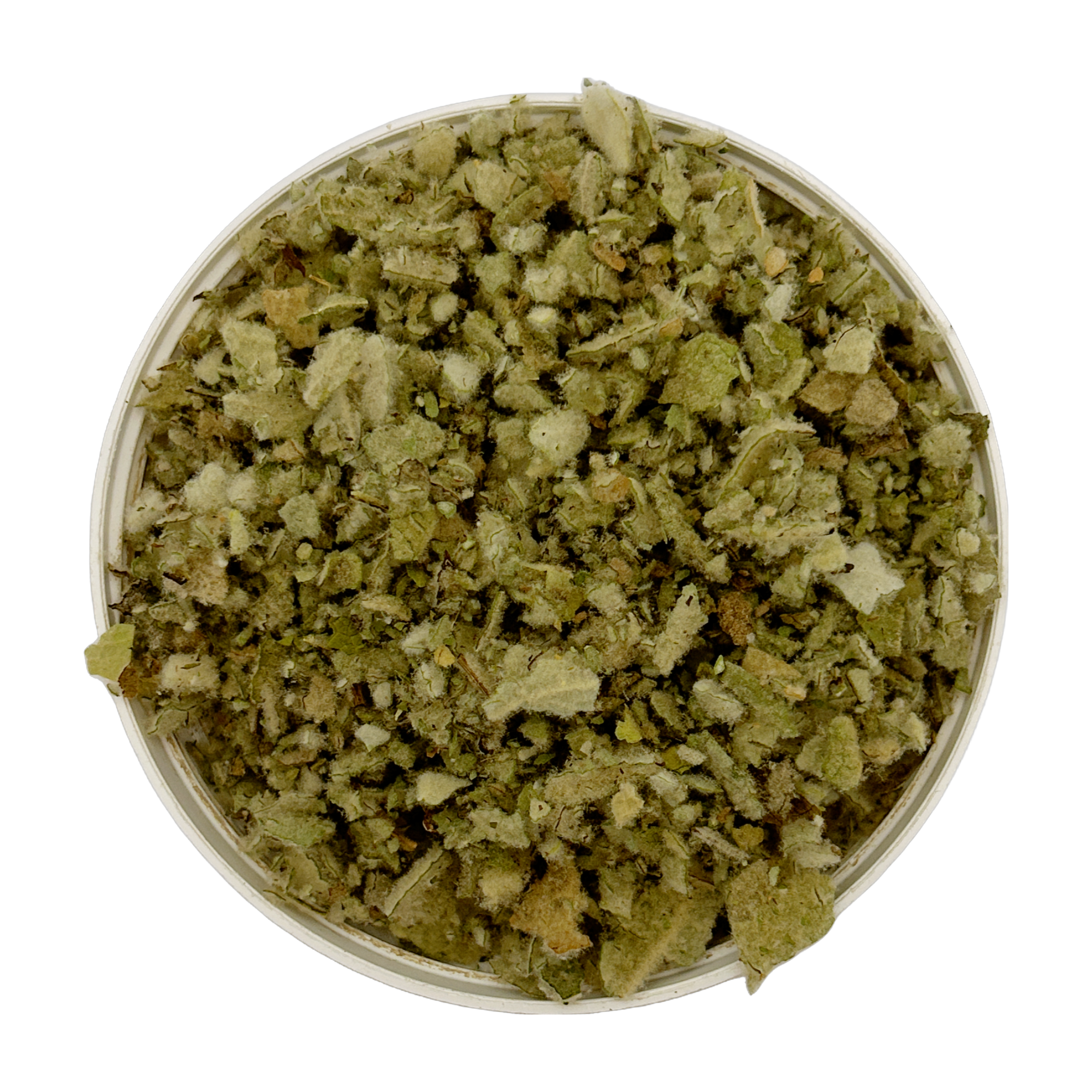 Mullein
