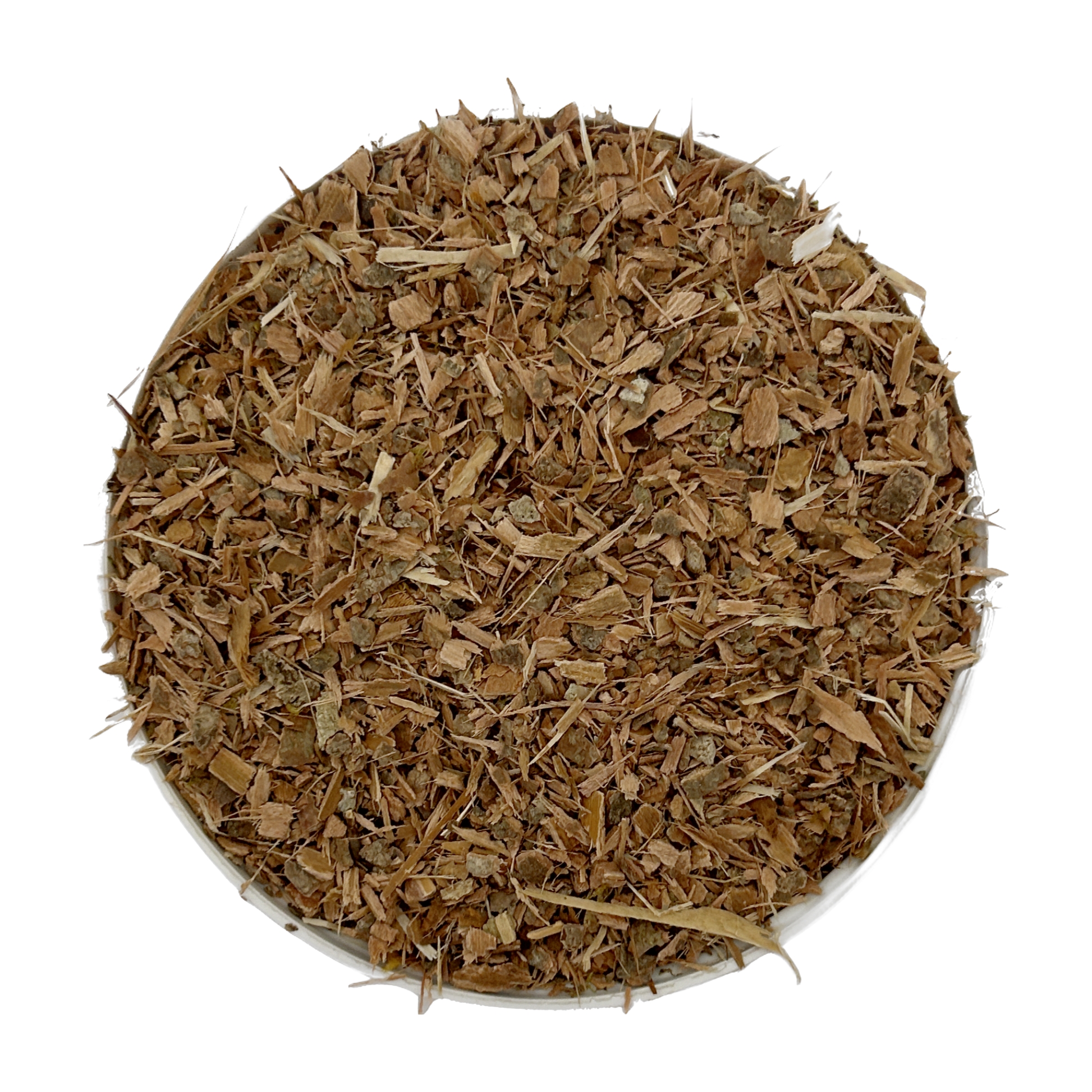 Witch Hazel