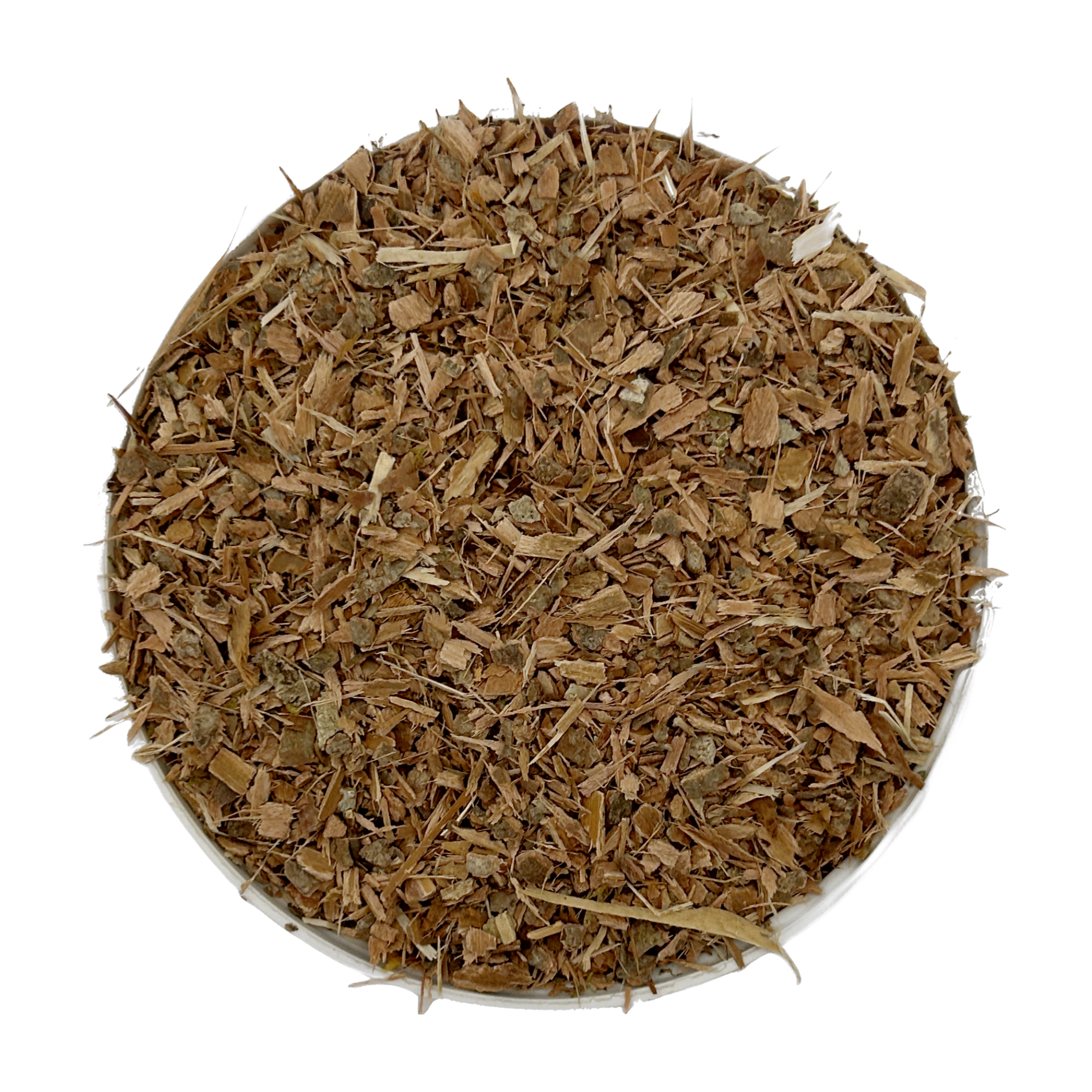 Witch Hazel