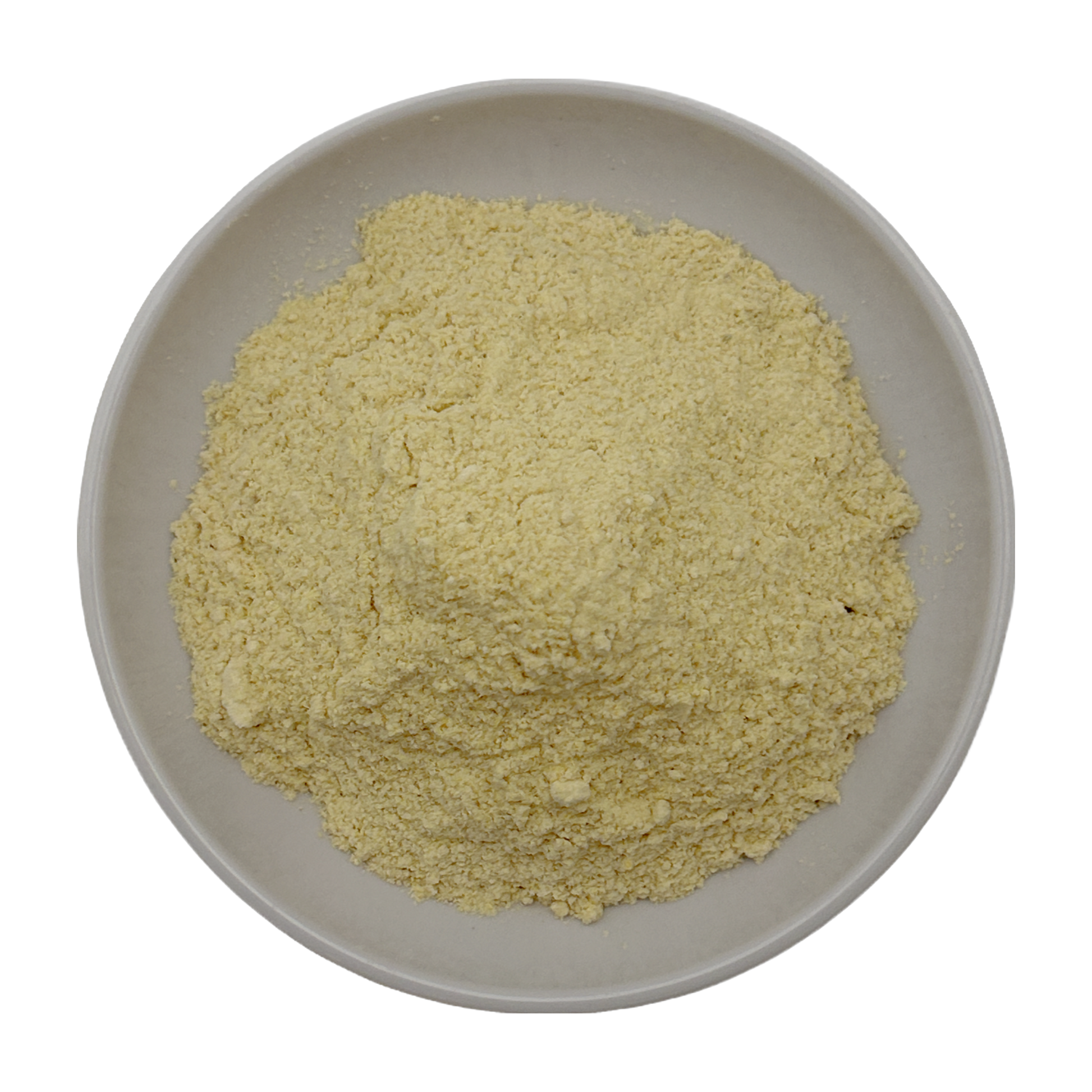 Shatavari Powder