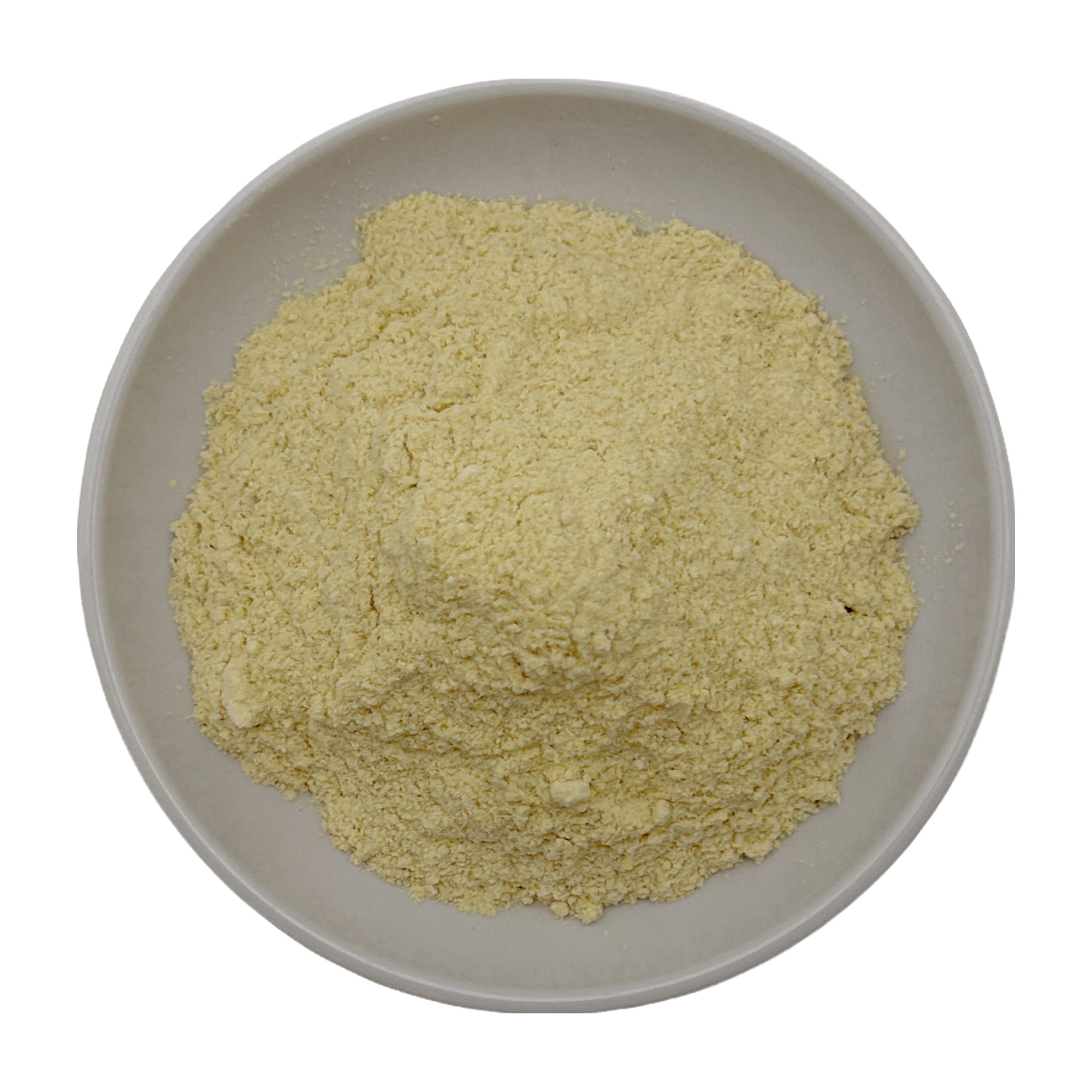 Shatavari Powder