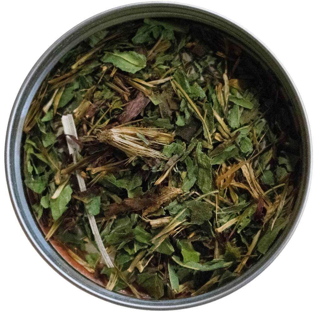 Echinacea, leaf and flower