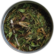 Echinacea, leaf and flower