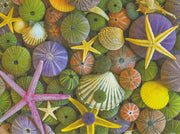 Ocean Treasures Greeting Card -  Blank Card