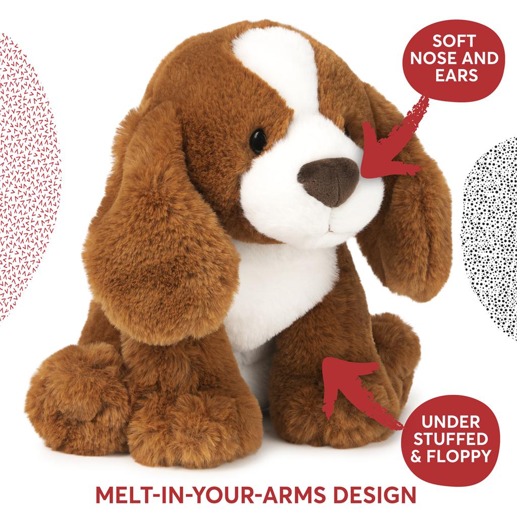 Kian Spaniel Puppy