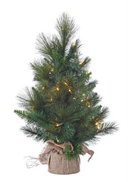 Cozy Anchorage Fir Lighted Tree - 24 inch