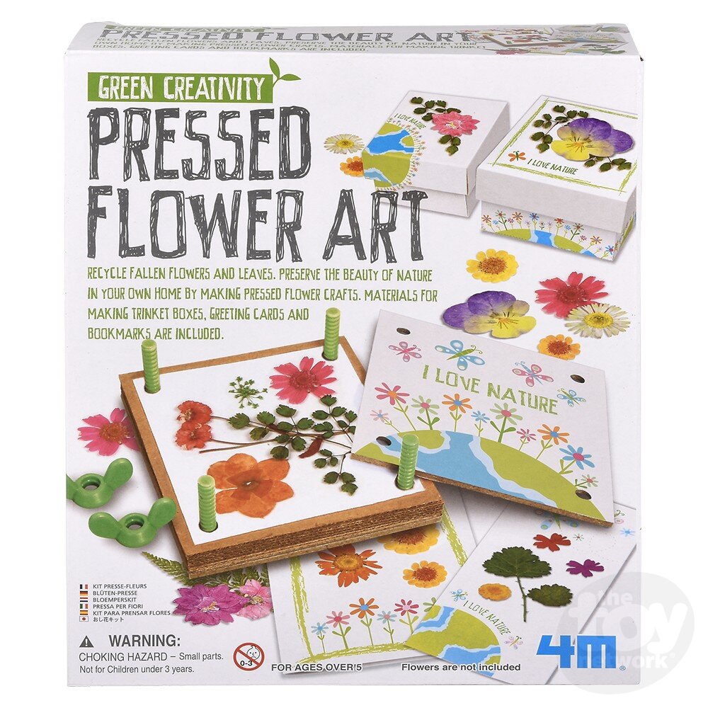 4M Green Creativity Kit Pressed Flower Art by Homeportonline