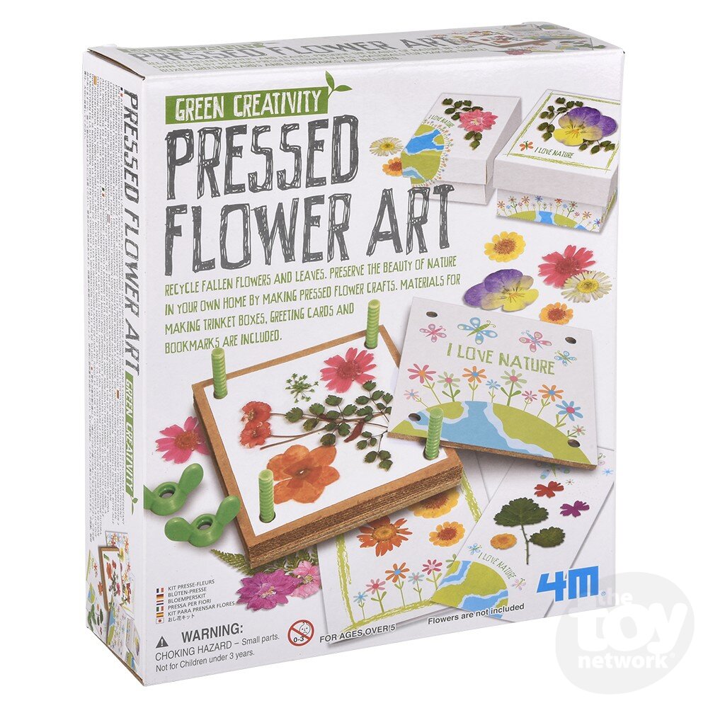 4M Green Creativity Kit Pressed Flower Art by Homeportonline