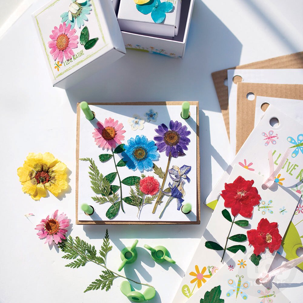 4M Green Science Paper Making by Homeportonline
