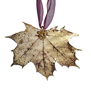 Gold Sugar Maple Leaf with Sheer Ribbon Ornament