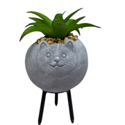 Faux Green Succulent In Planter - Cat